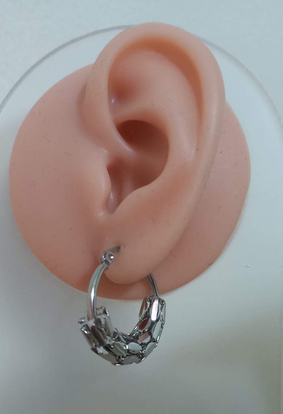 Candongas de Escamas Plateada