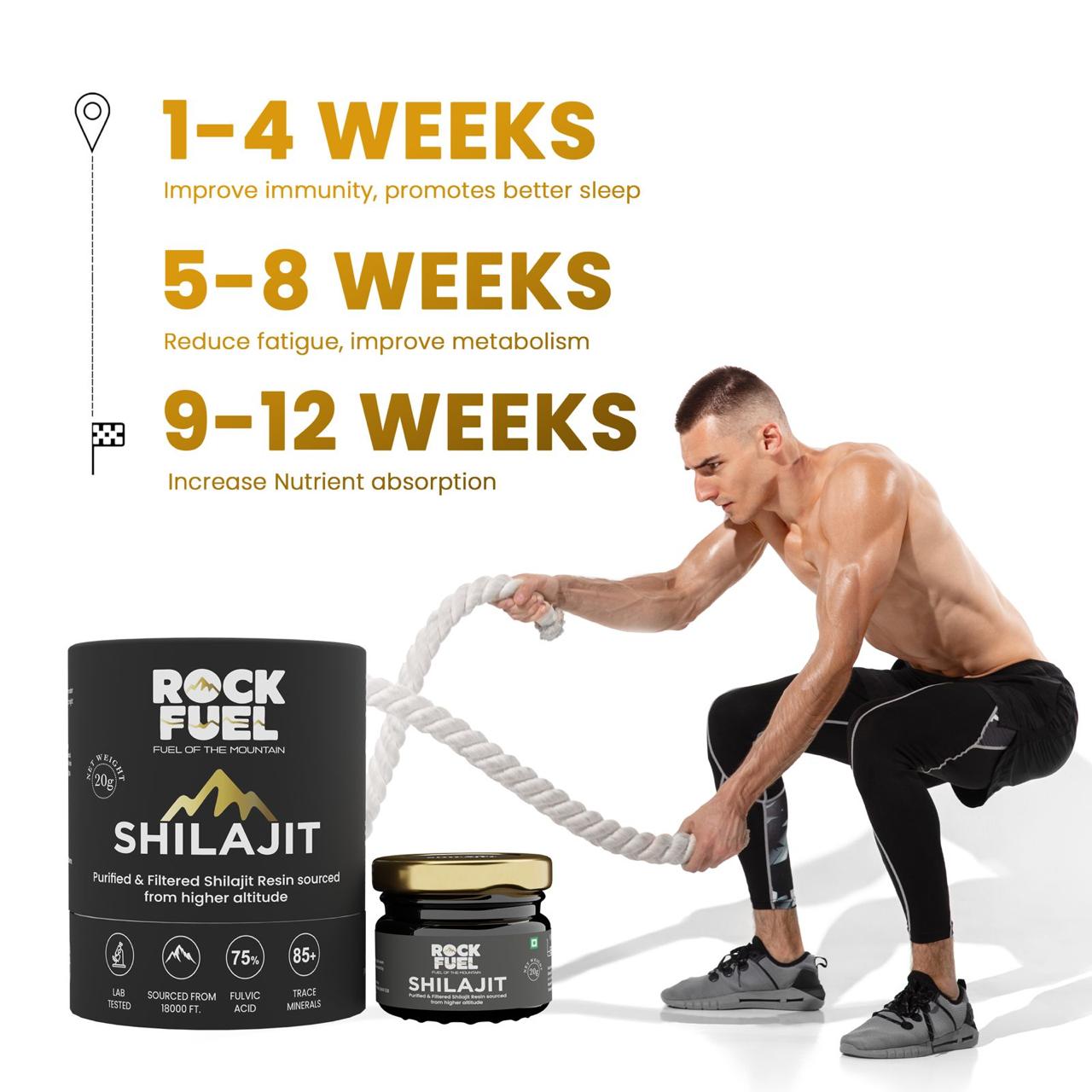 Rock Fuel Shilajit