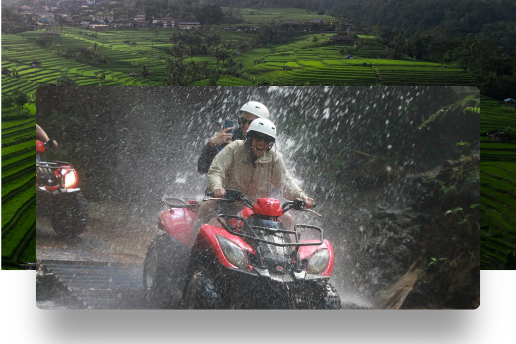 Bali's Green Heartbeat: From Northern Coast to Cultural Soul (Private & Sharing Group/Starting From Ketapang Ferry Port-Banyuwangi East Java)