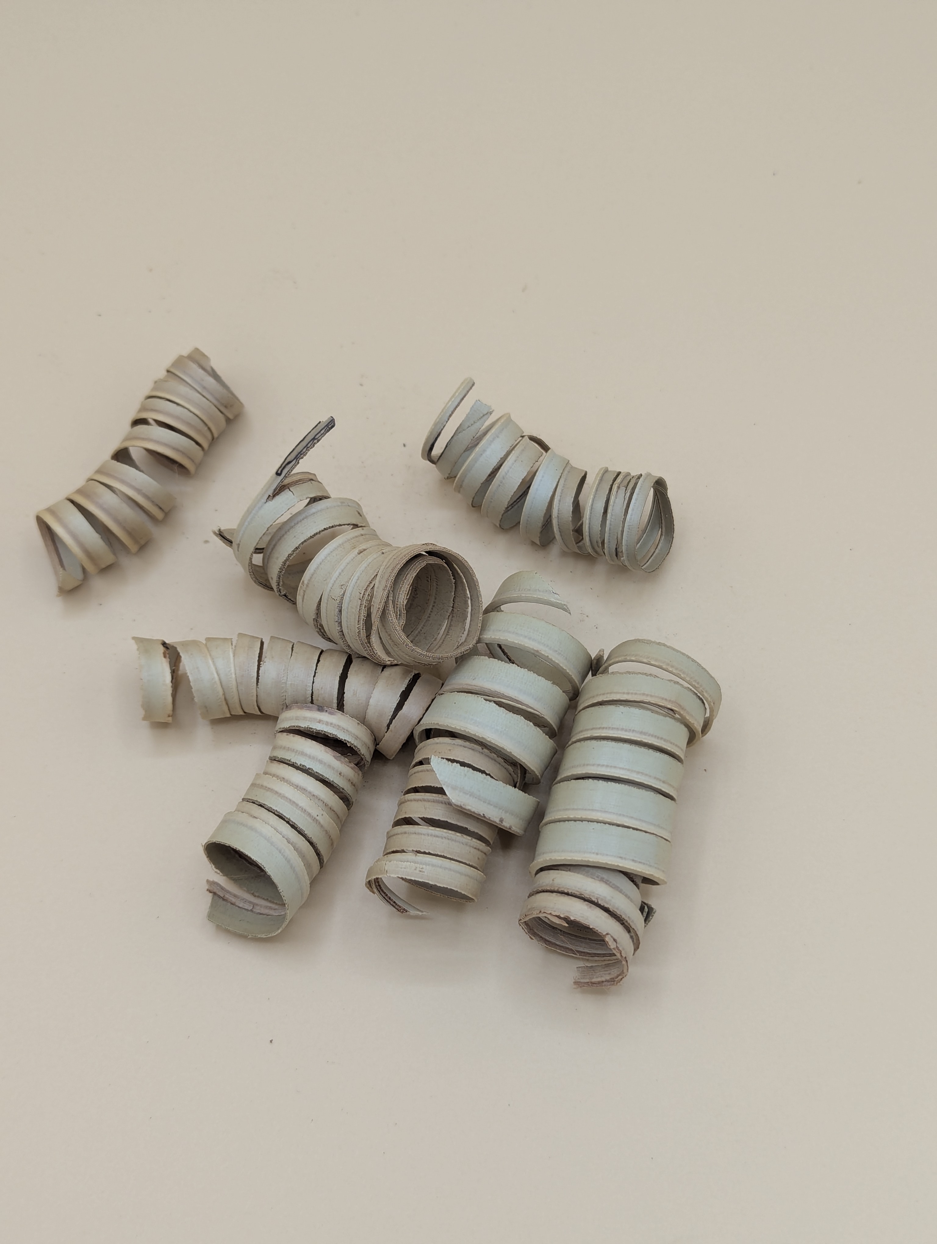 Spirale de Palmier 