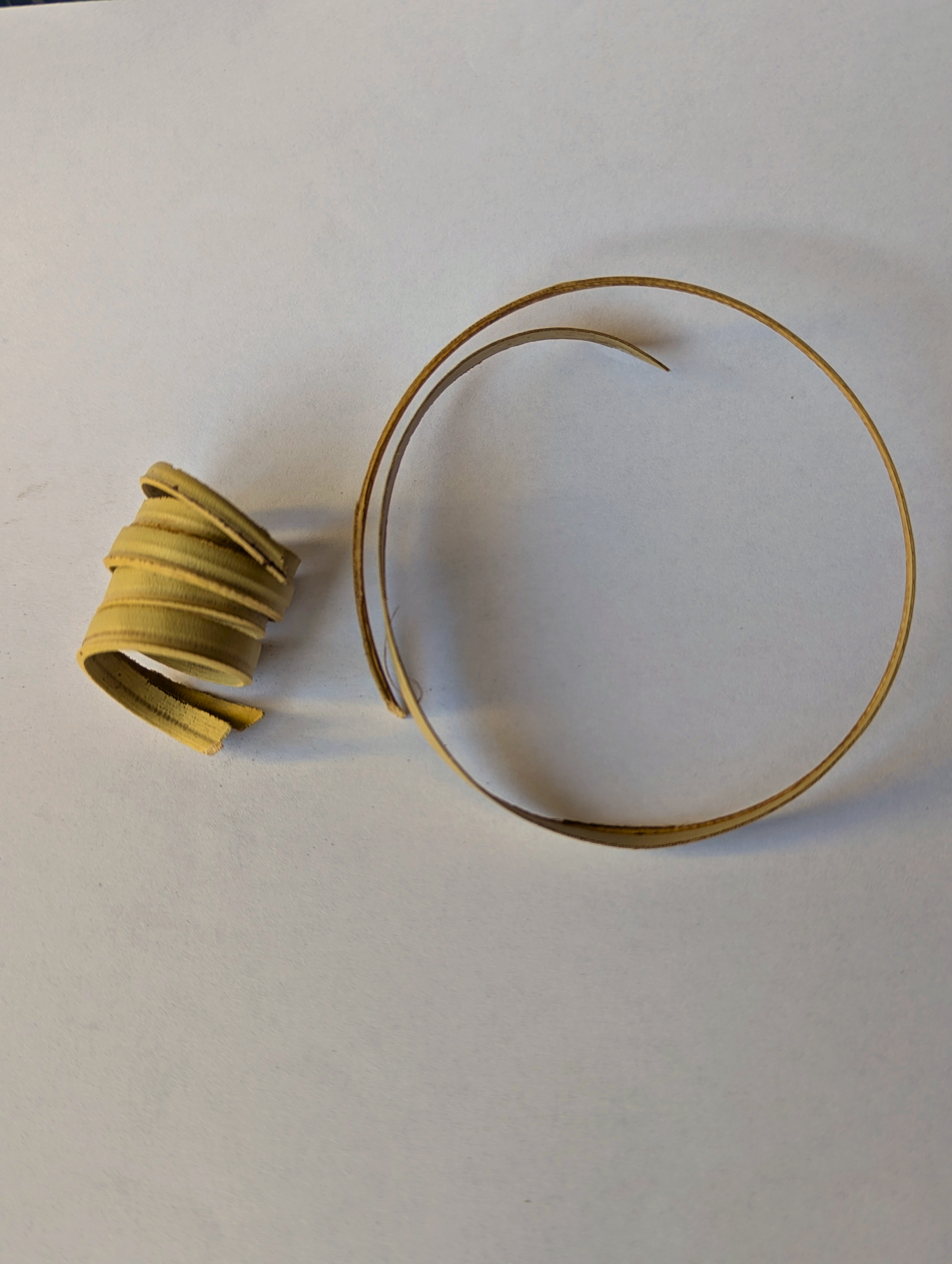 Spirale de Palmier 