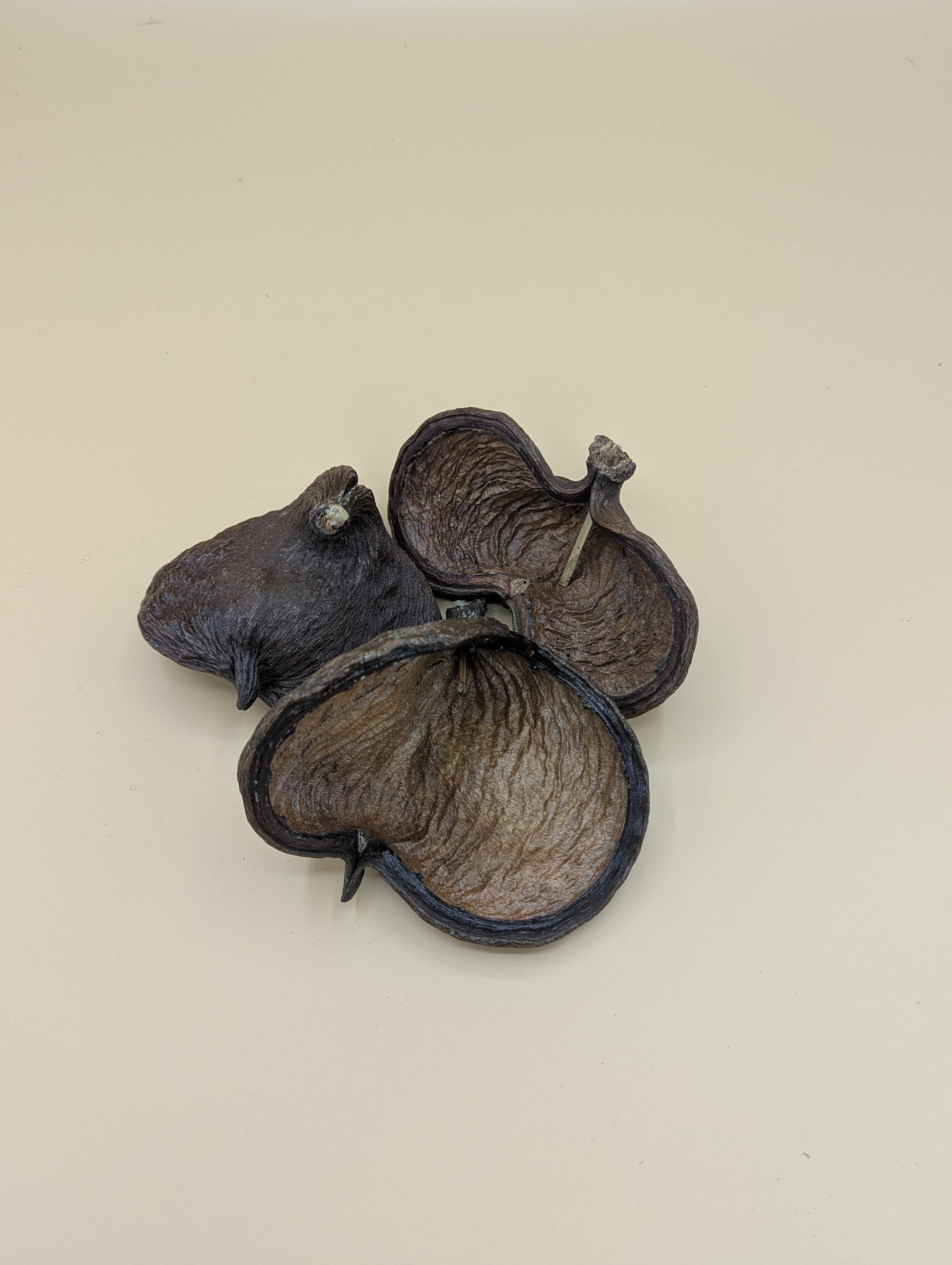 Noix de Badam