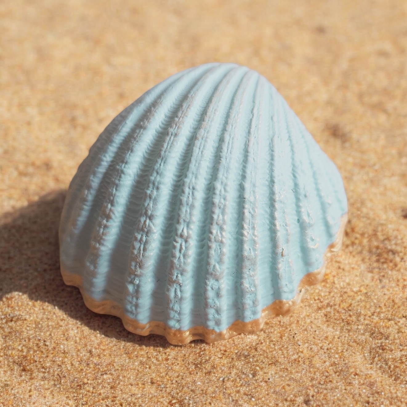 Handdecorated Shell Trinket Holder