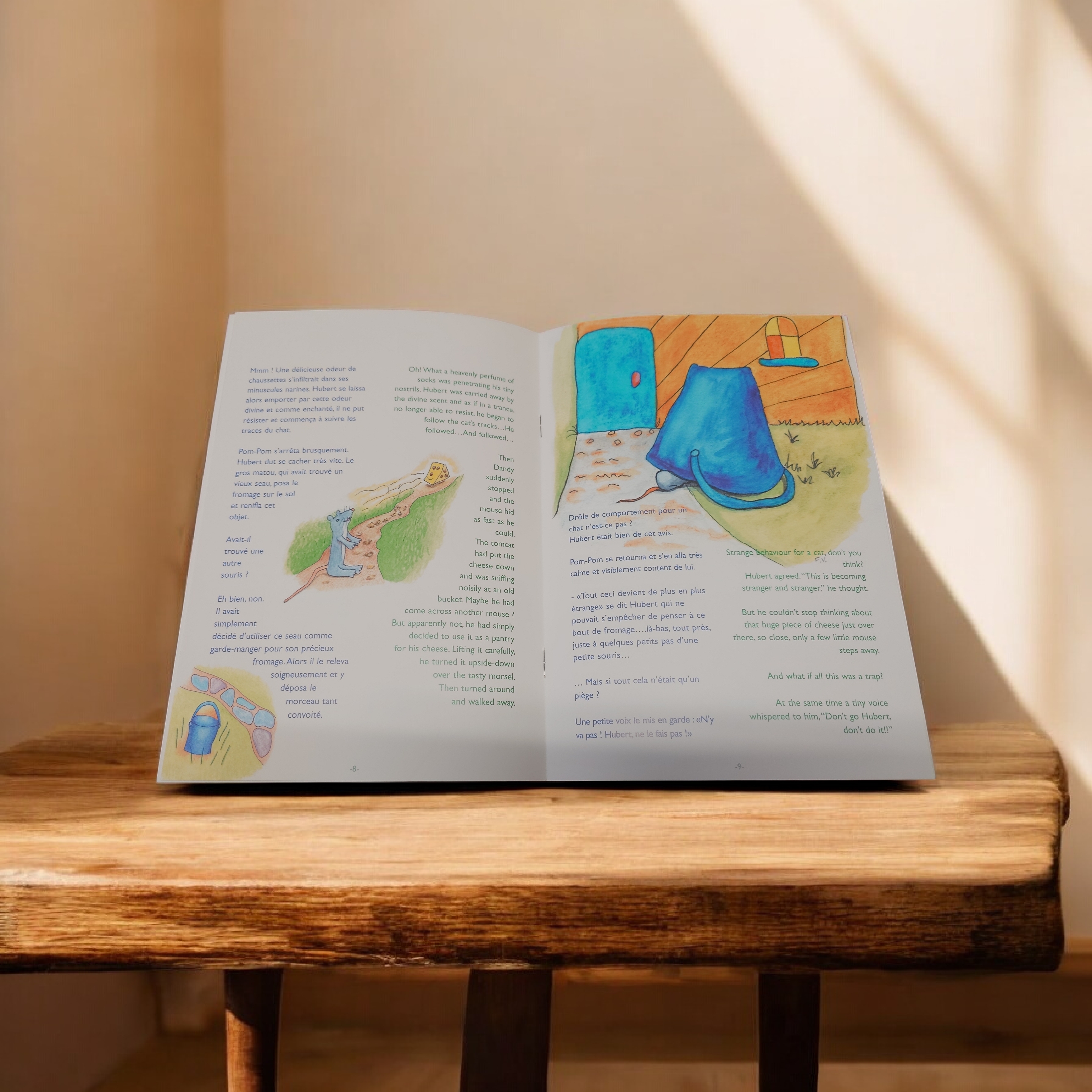 Bi-lingual English and French children's story book (Encore une histoire de)