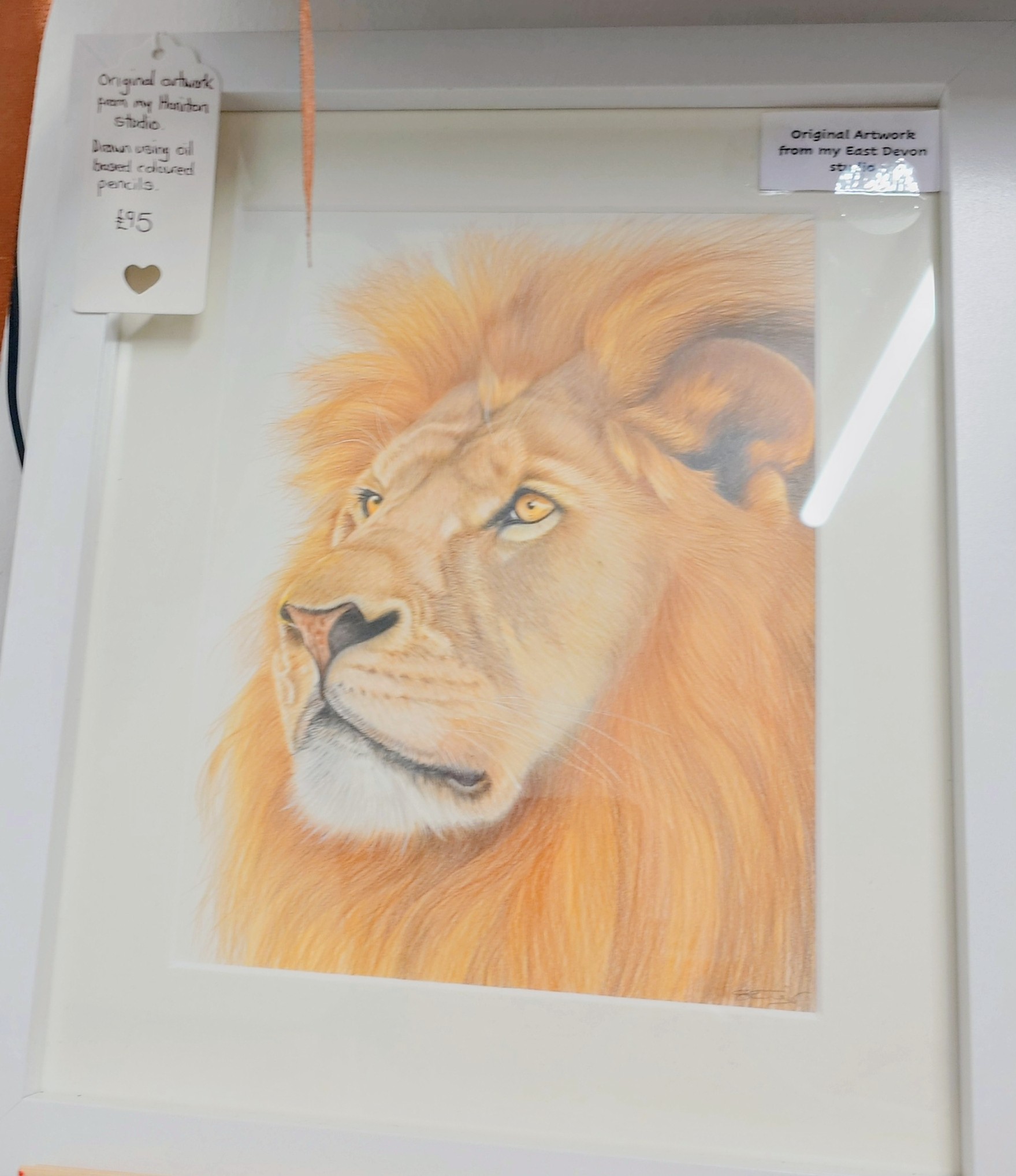 Framed original Artwork Lion by Sue Tyler