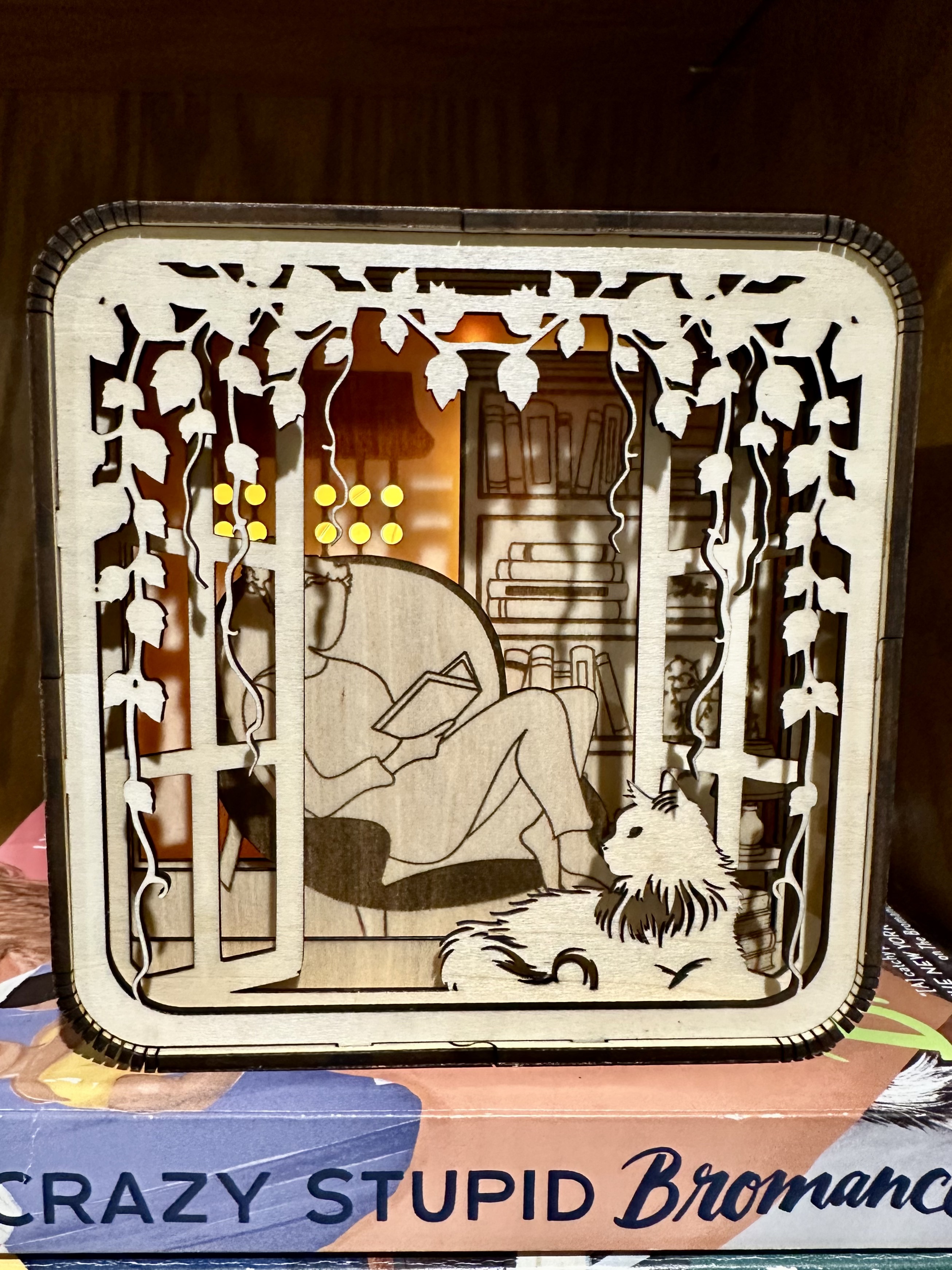 Cozy Reader Light Box