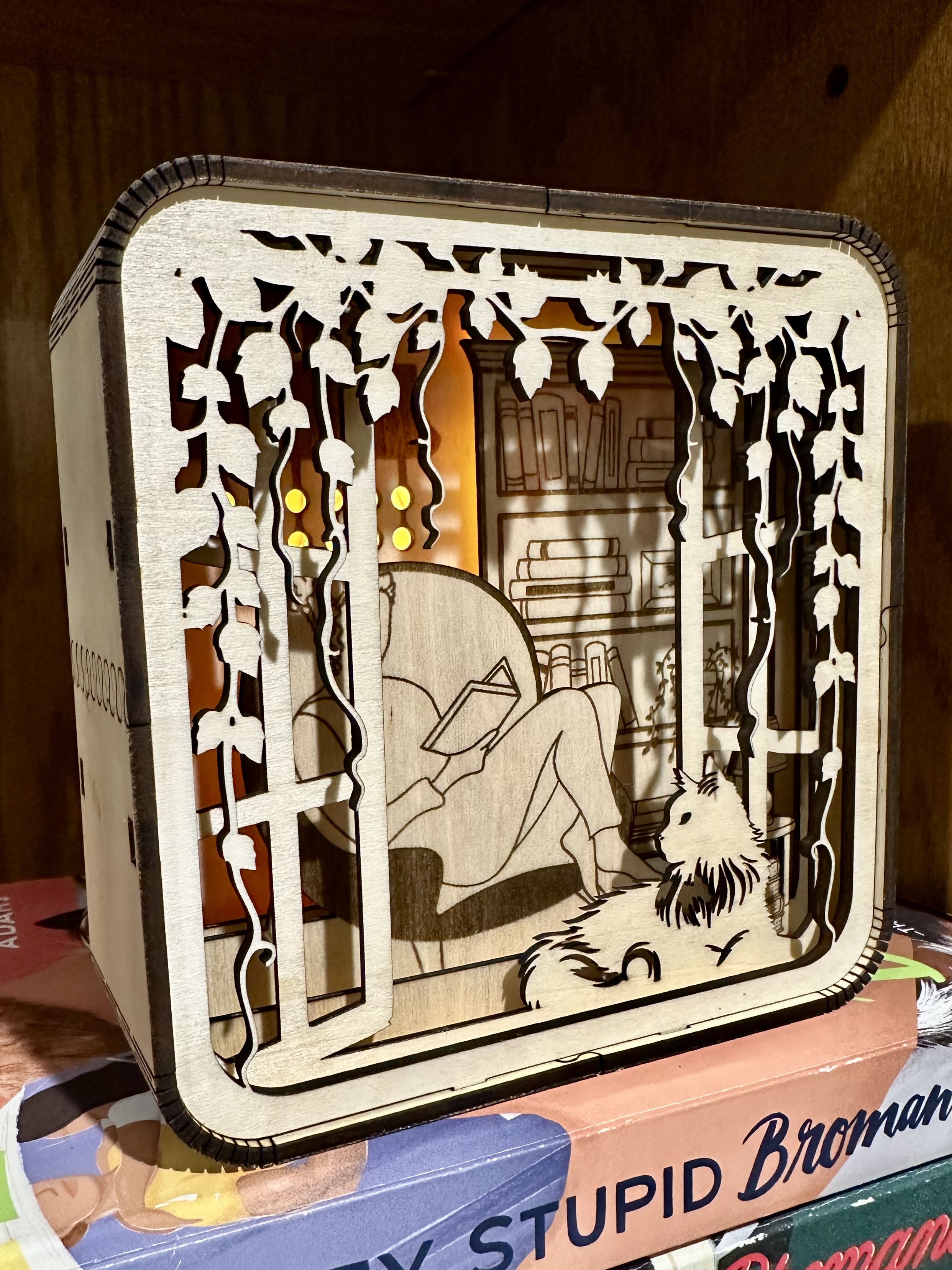 Cozy Reader Light Box