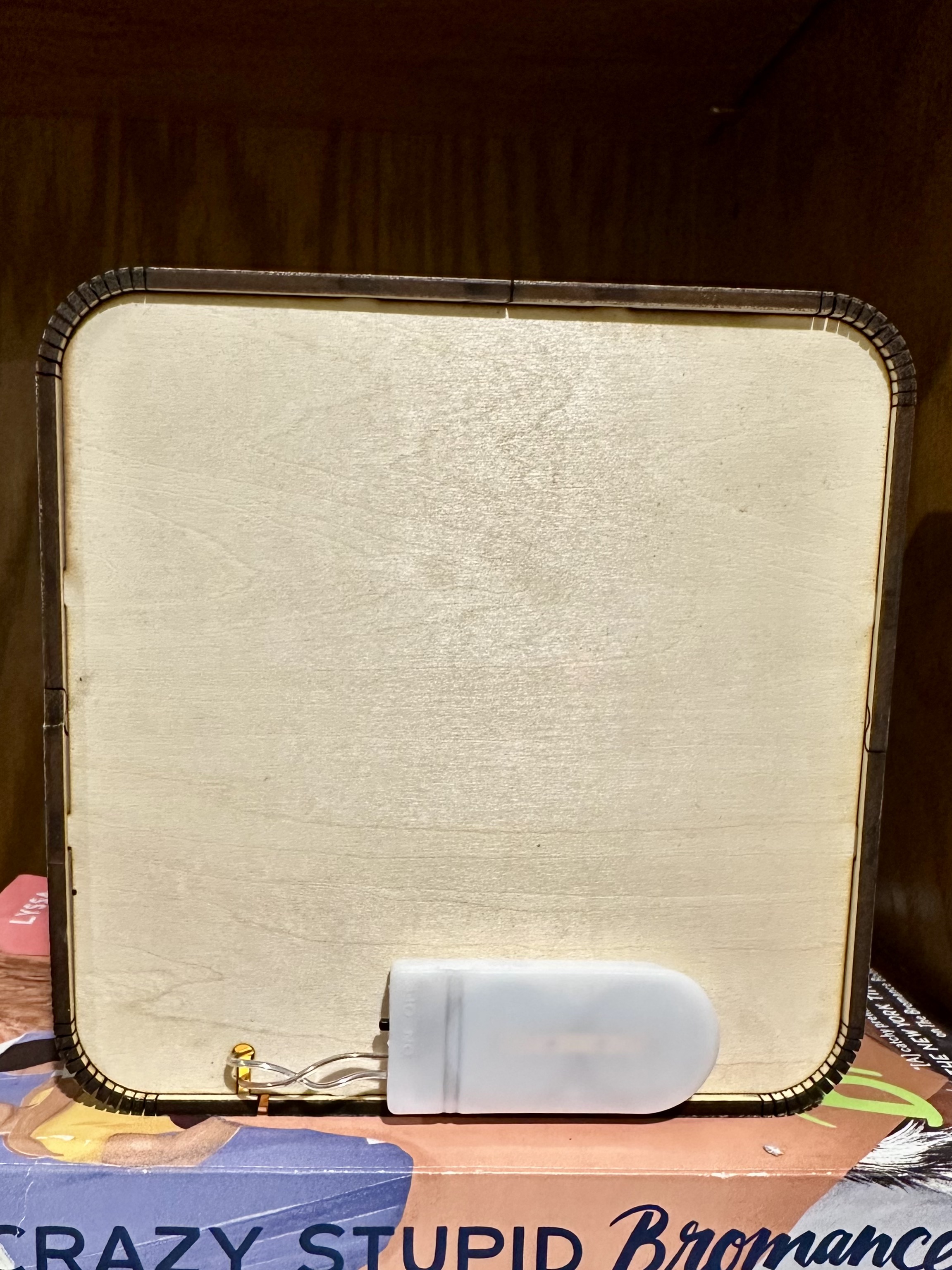 Cozy Reader Light Box