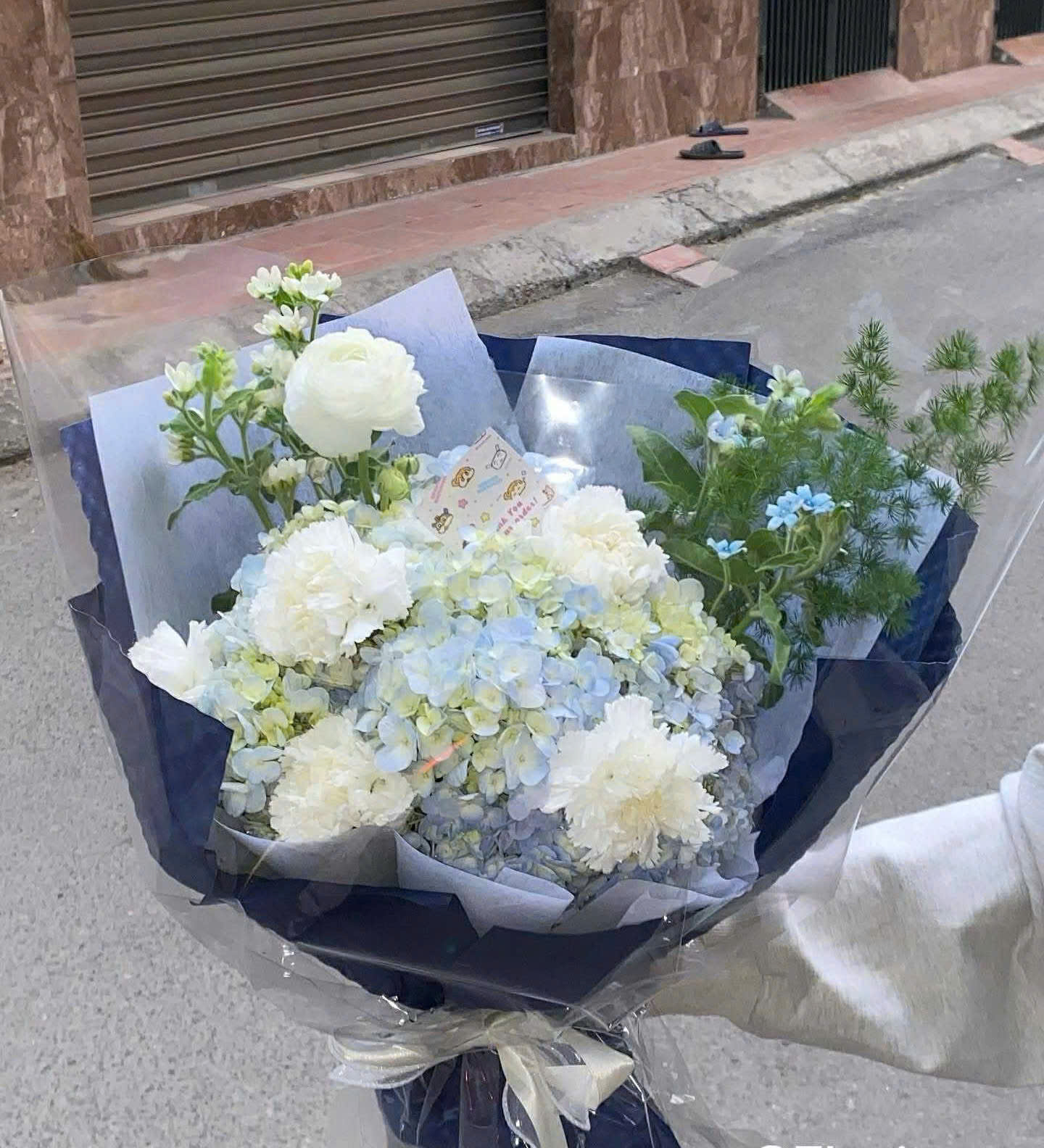 Hoa Cẩm Tú Cầu