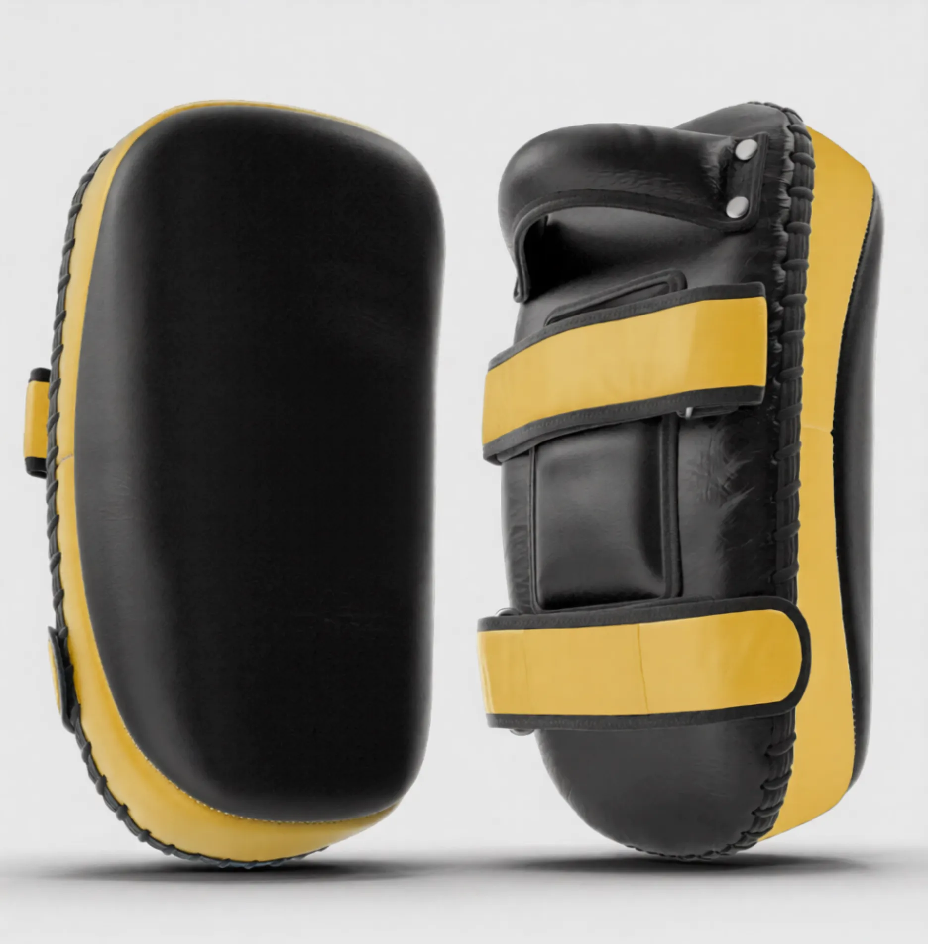 Kickboxing Pads