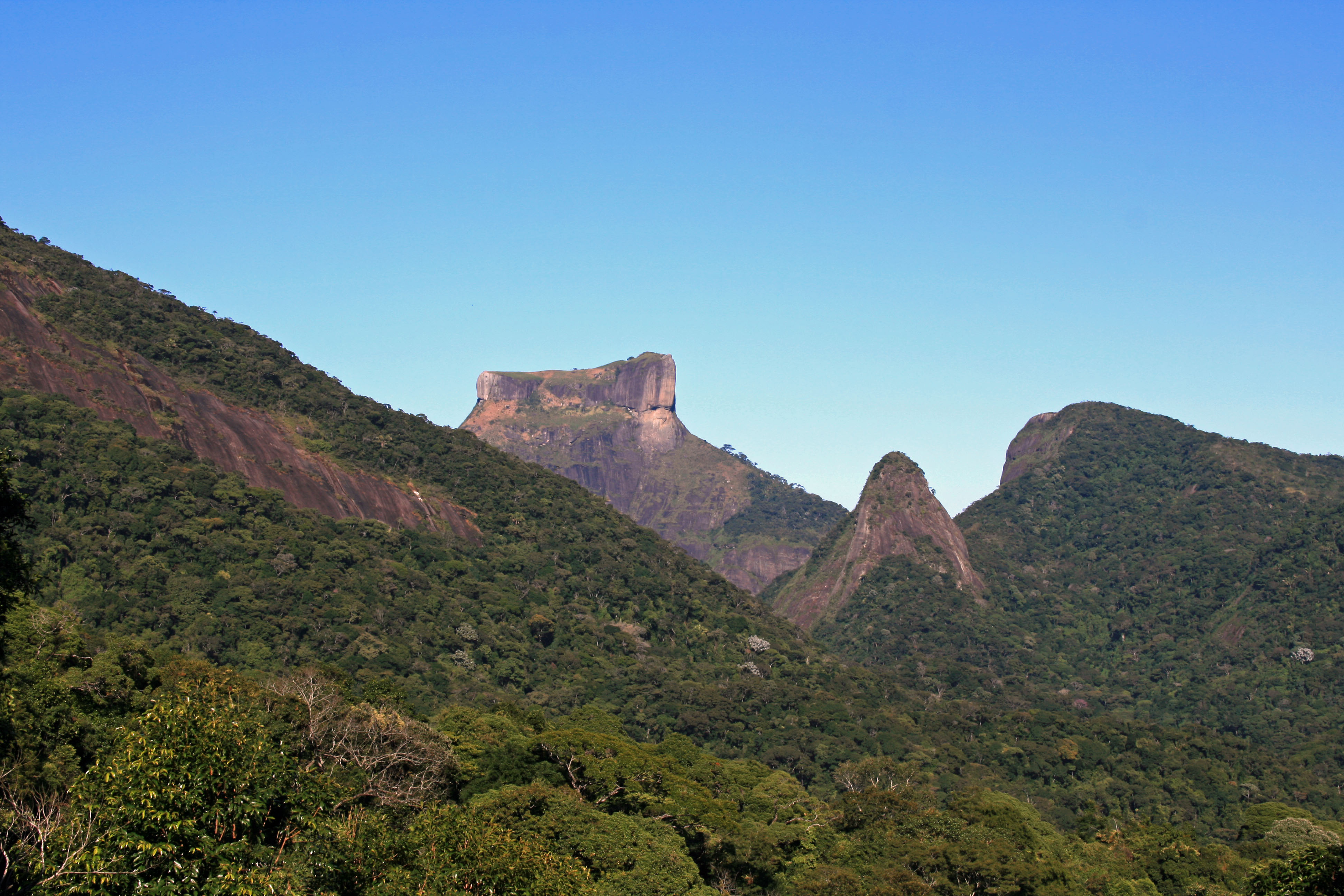 Floresta de Tijuca - Caminata y Cascadas Secretas
