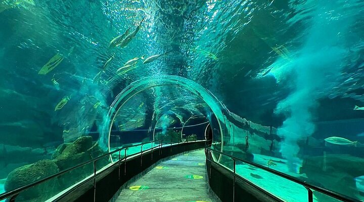 Tour Maracanã + Aquario (Privado)