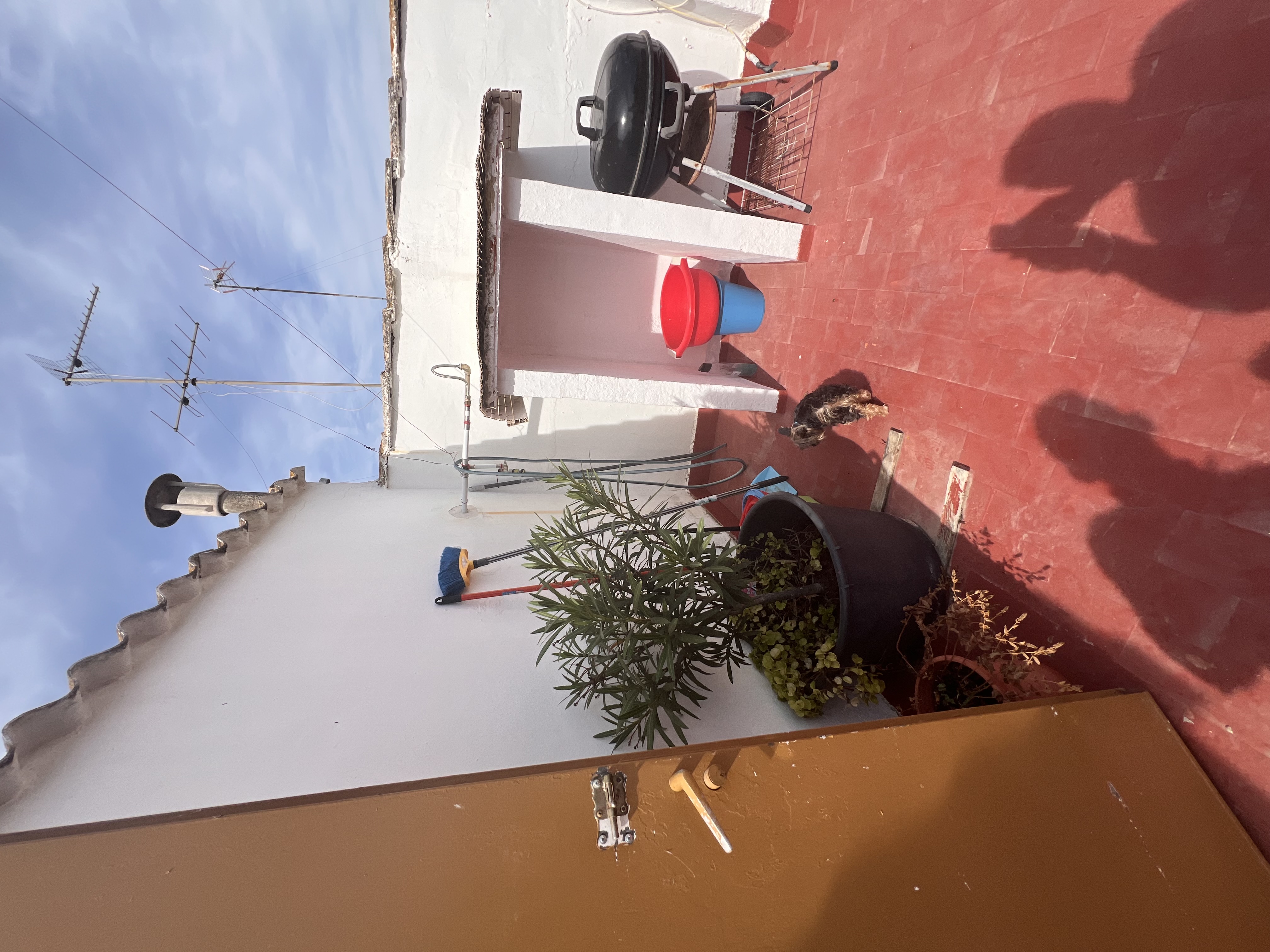 Outdoor Charcoal Grill