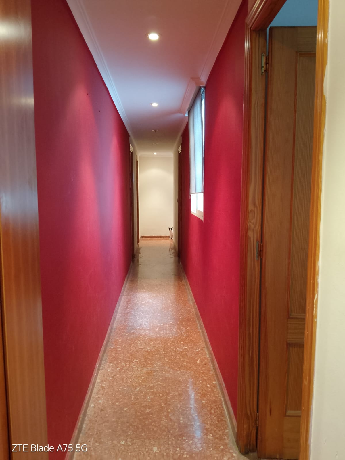 Apartamento en Avenida Maestro Serrano