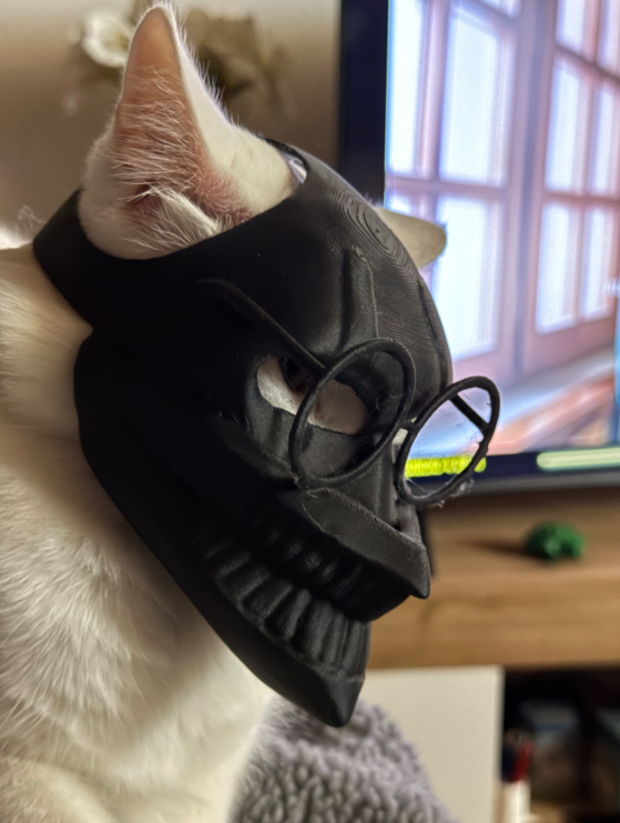 Okarun's Panicked Cat Mask 😨