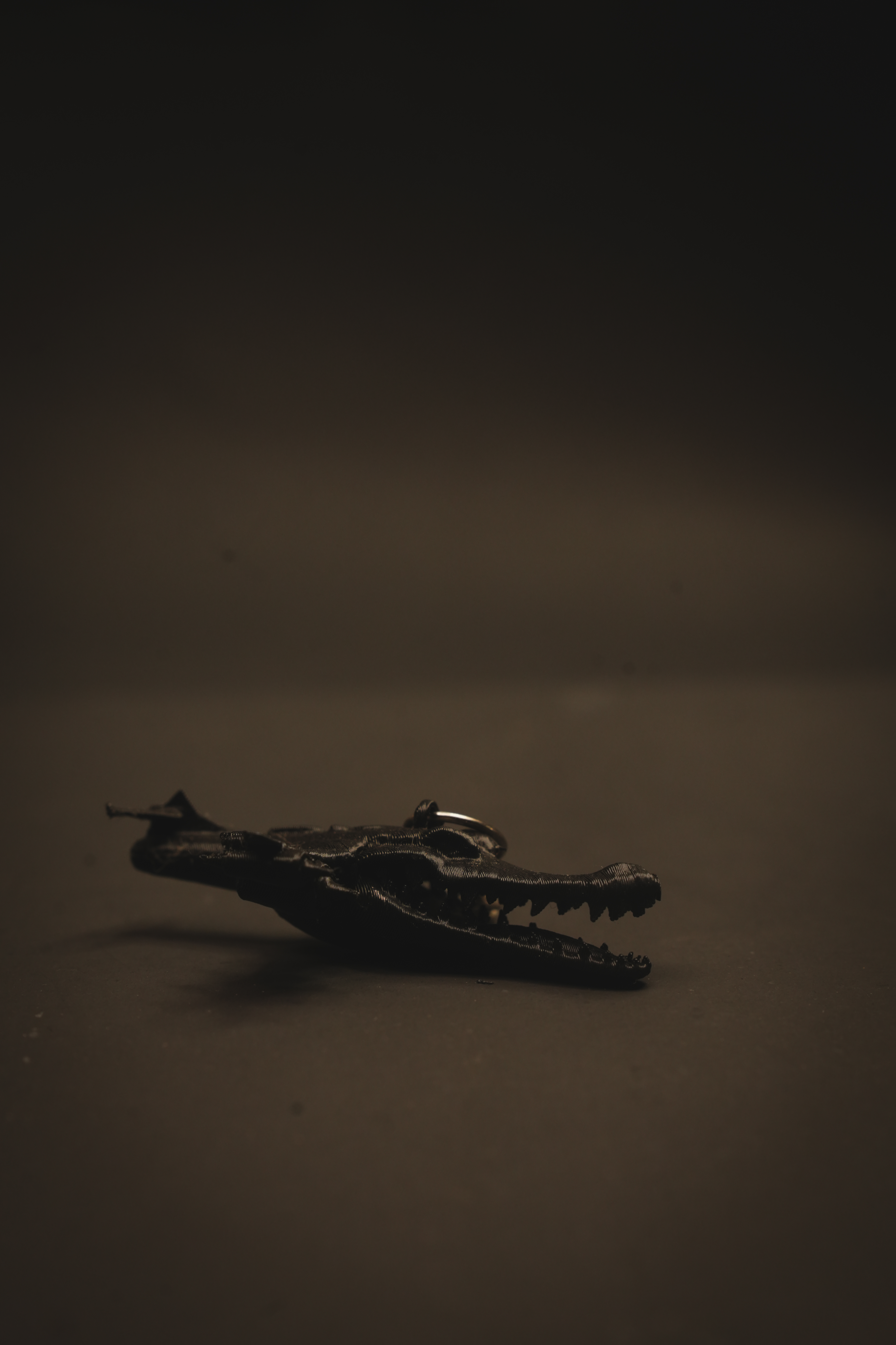 Crocodile Plane Keychain