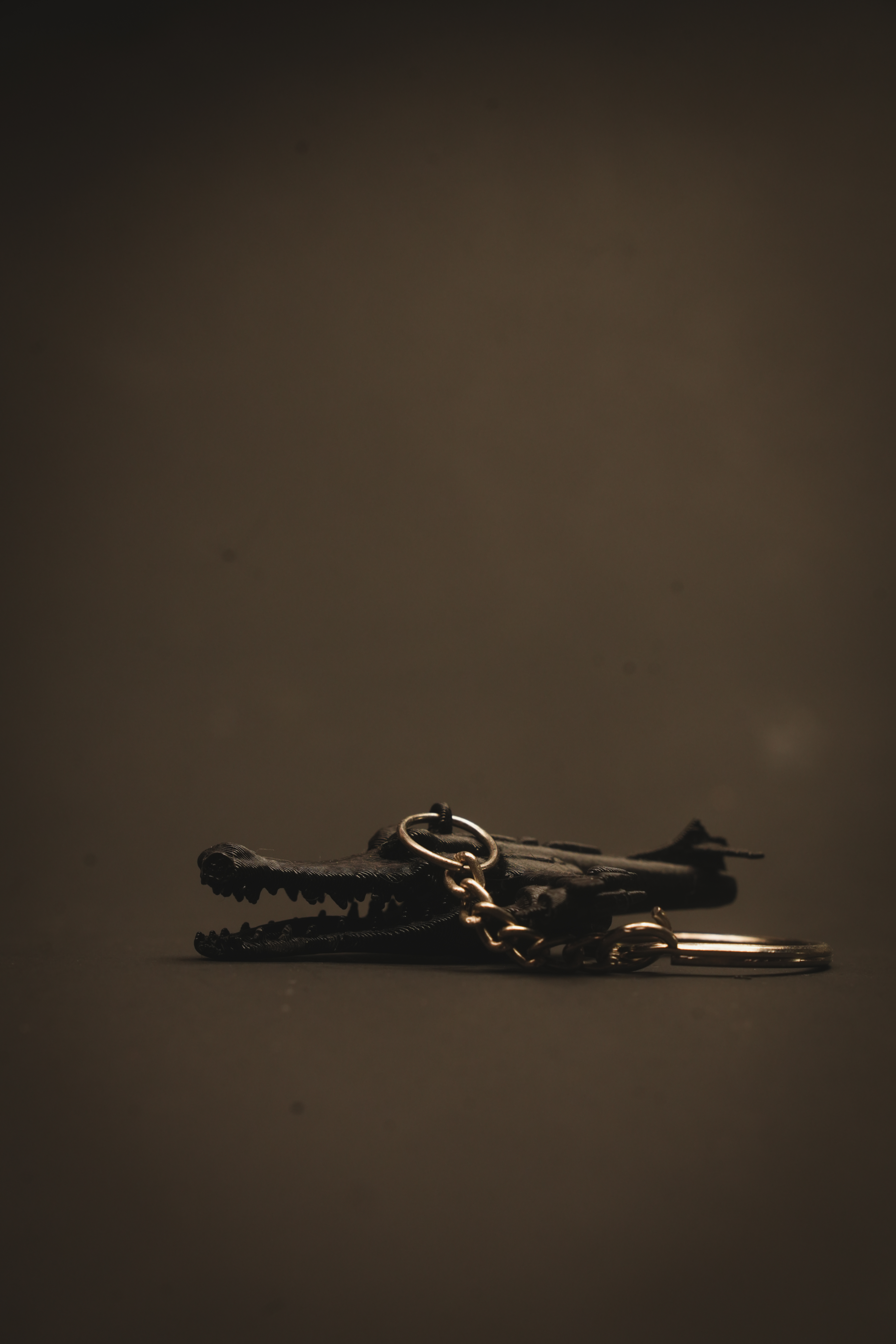 Crocodile Plane Keychain