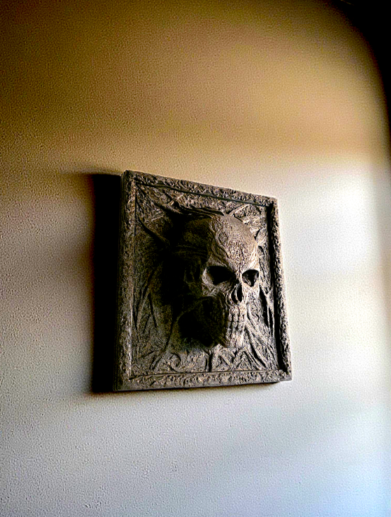 Living Tree Skull 3D Art Wall Hang 💀