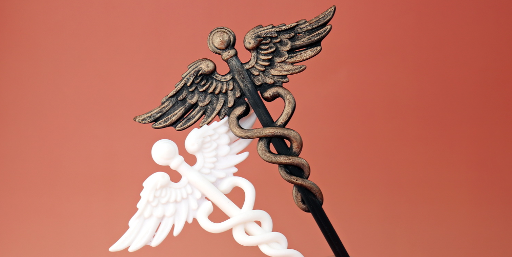Caduceus Serpent Hairpin ✨
