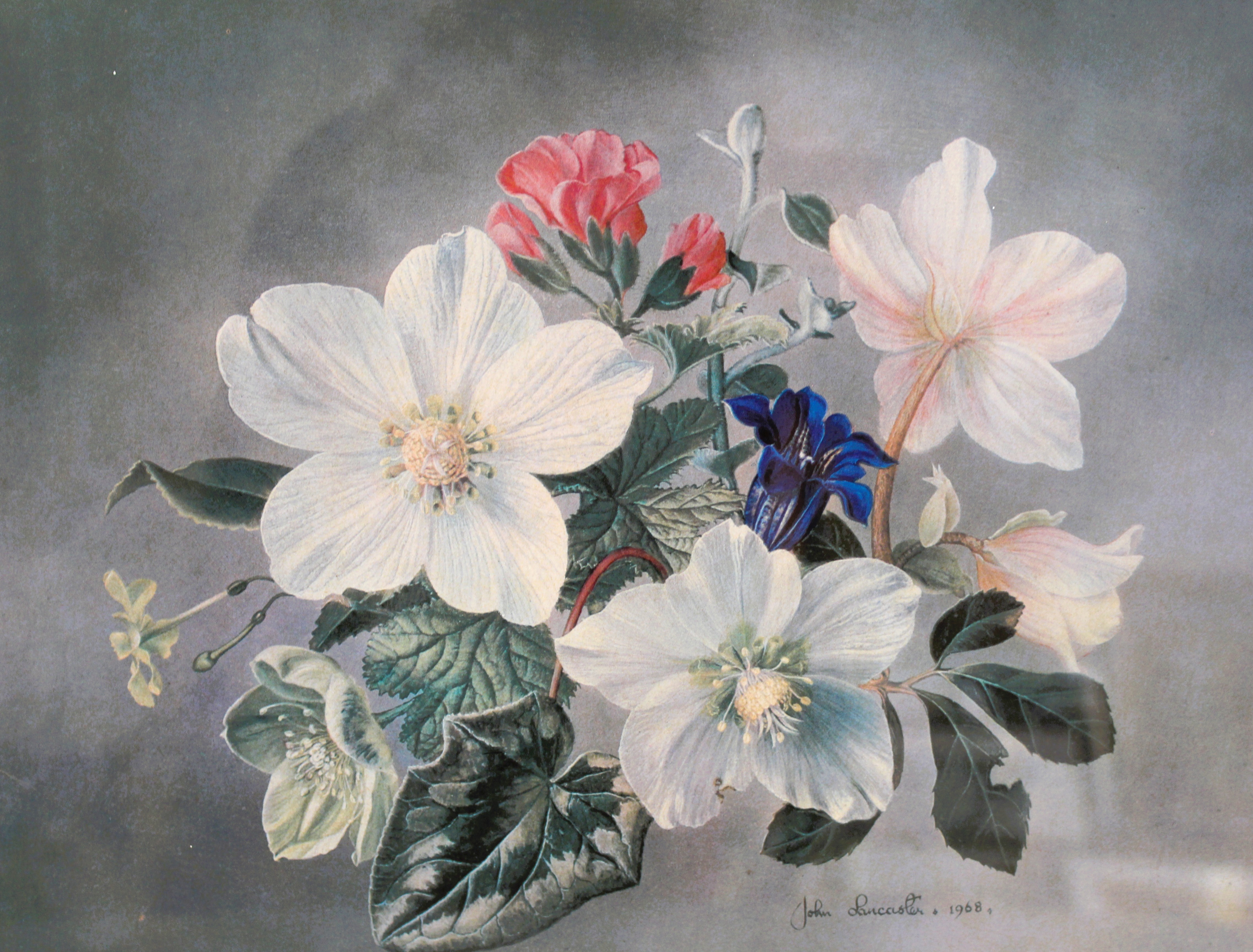 Flowers of Britain (1970)