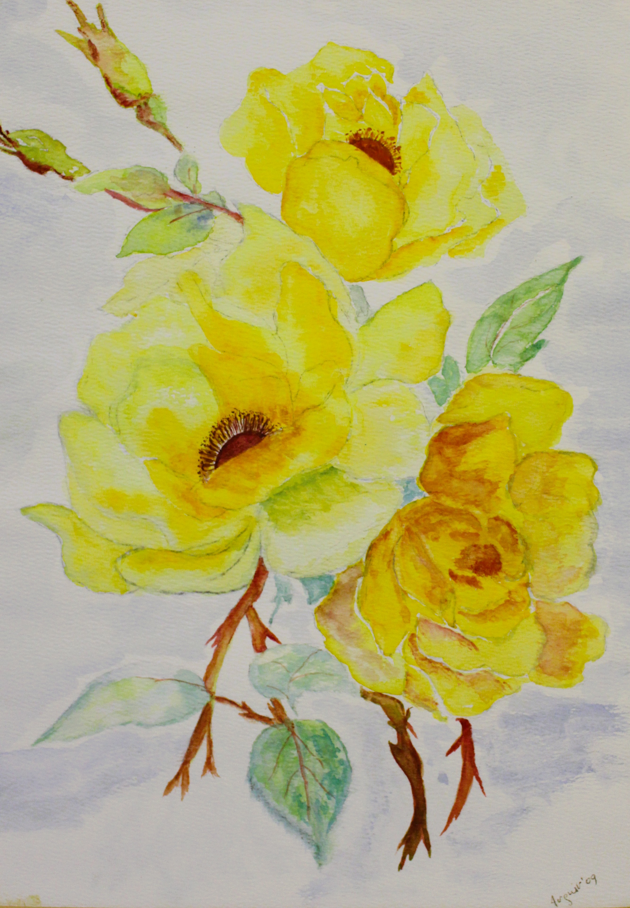 Wild Yellow Roses (2009)
