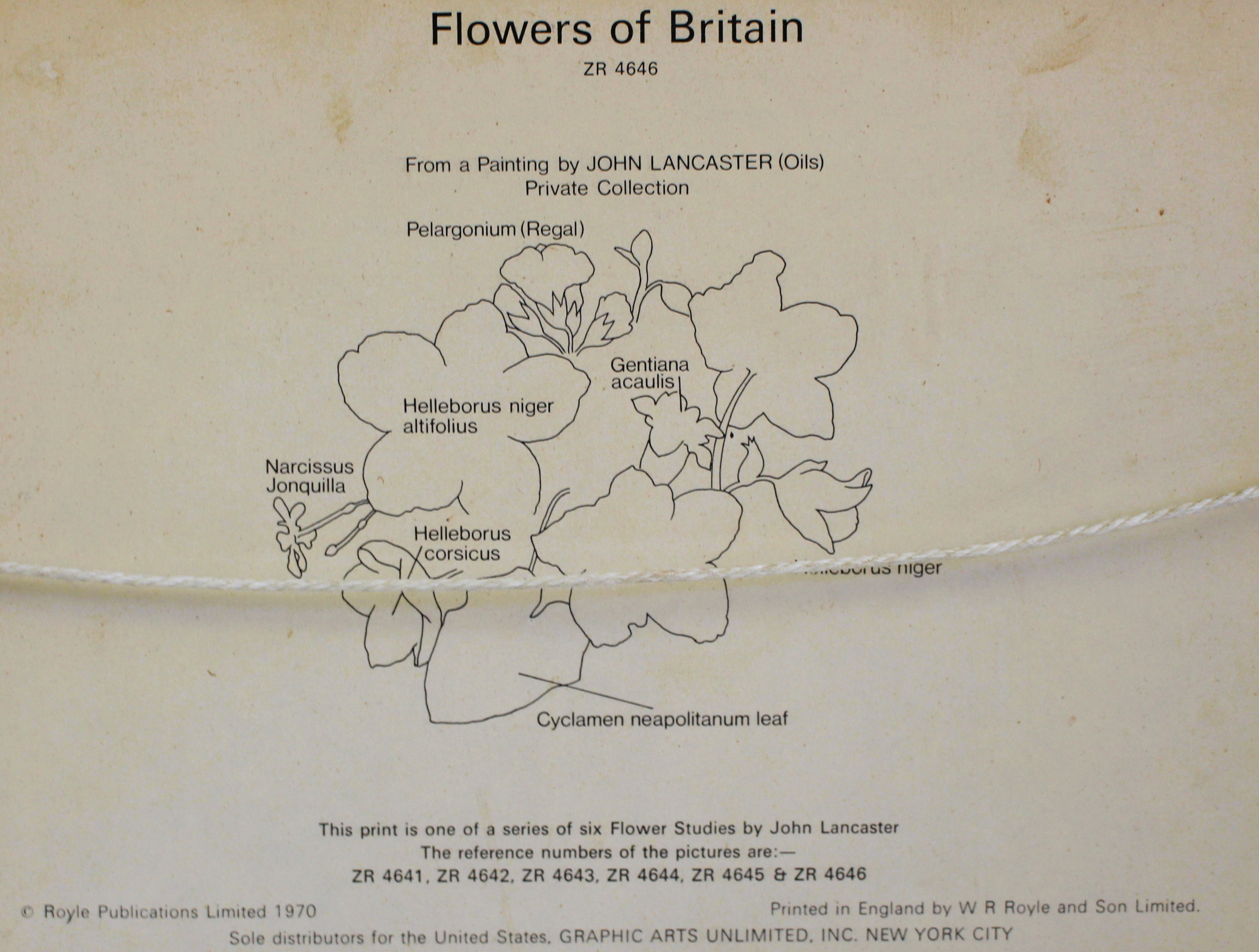 Flowers of Britain (1970)