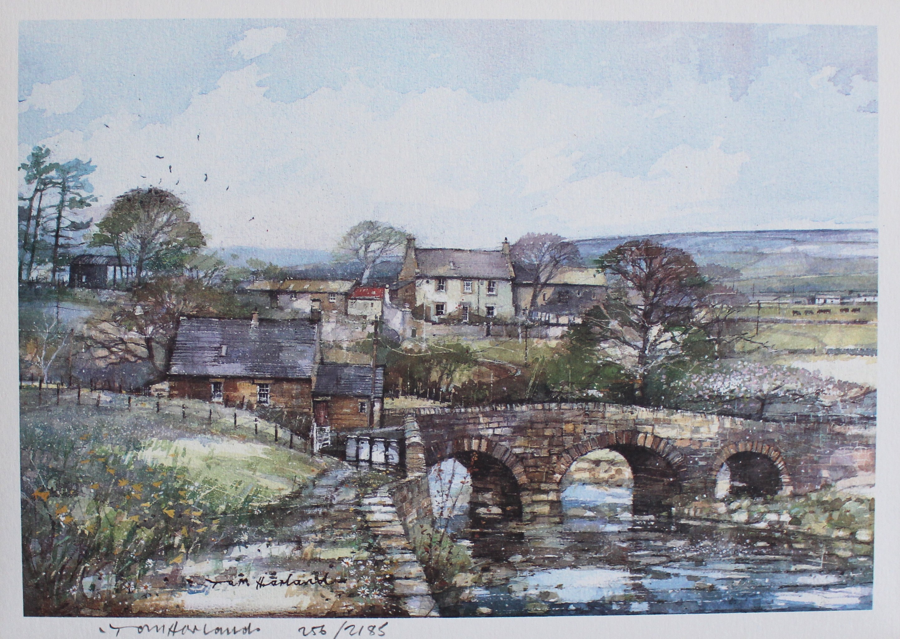 Springtime in High Fells