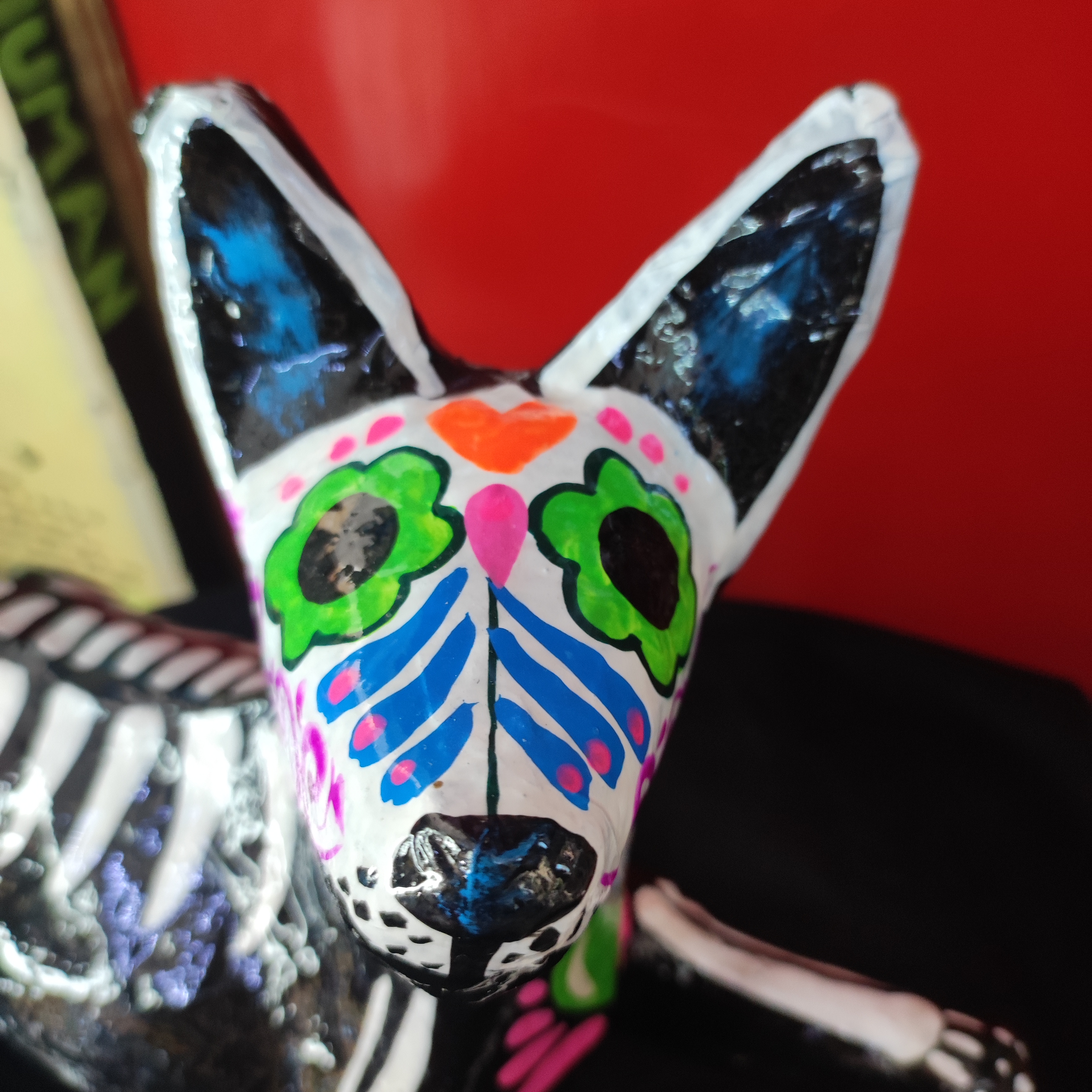 Esqueleto de Xoloitzcuintle