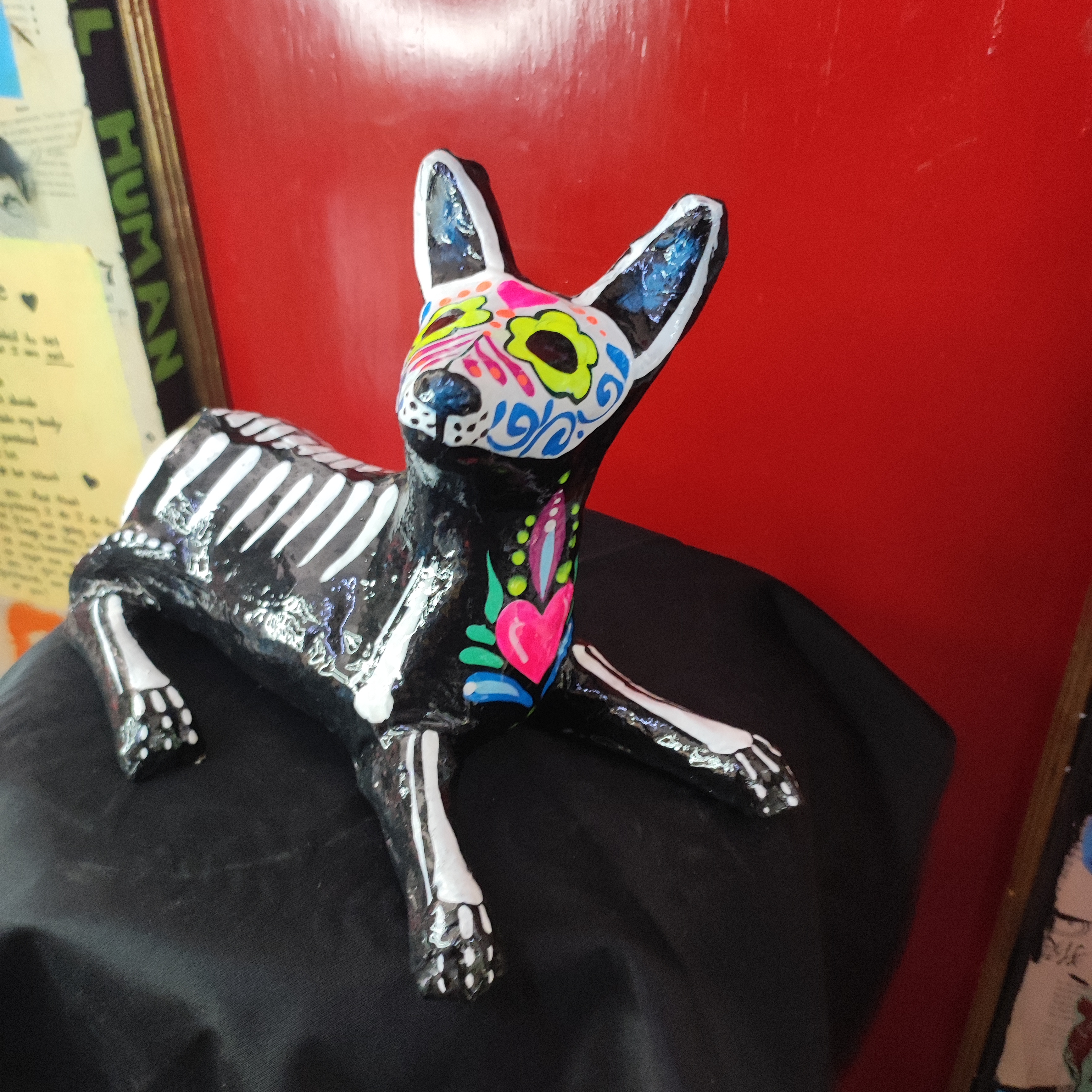 Esqueleto de Xoloitzcuintle rosa 