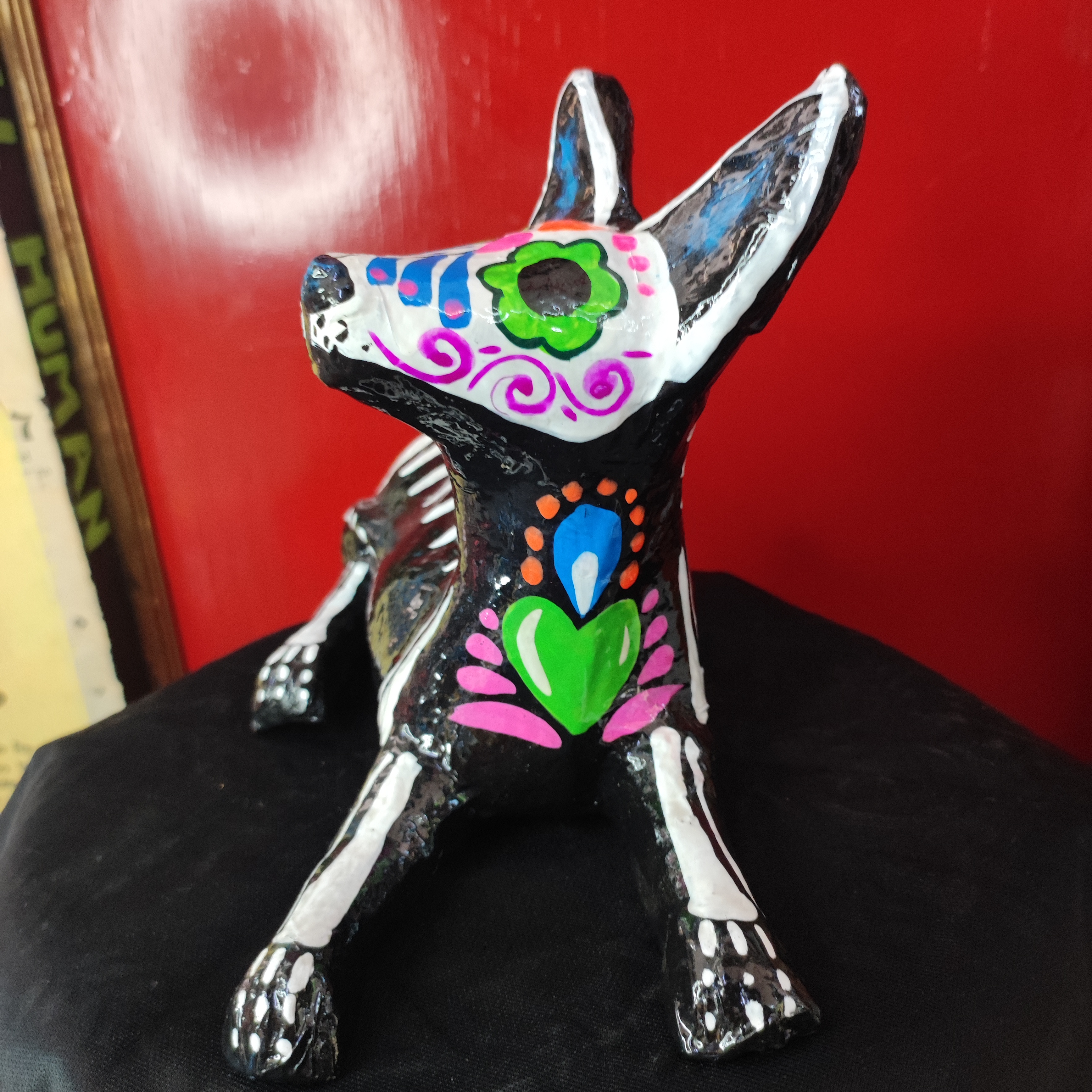 Esqueleto de Xoloitzcuintle