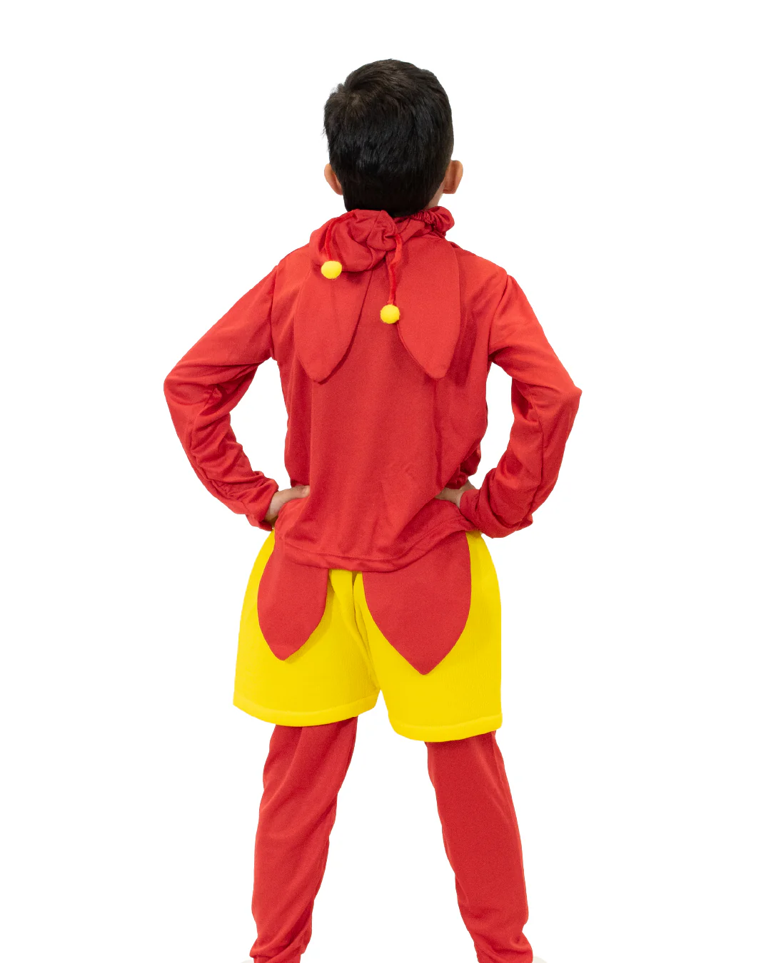 Disfraz Chapulín (Niños)