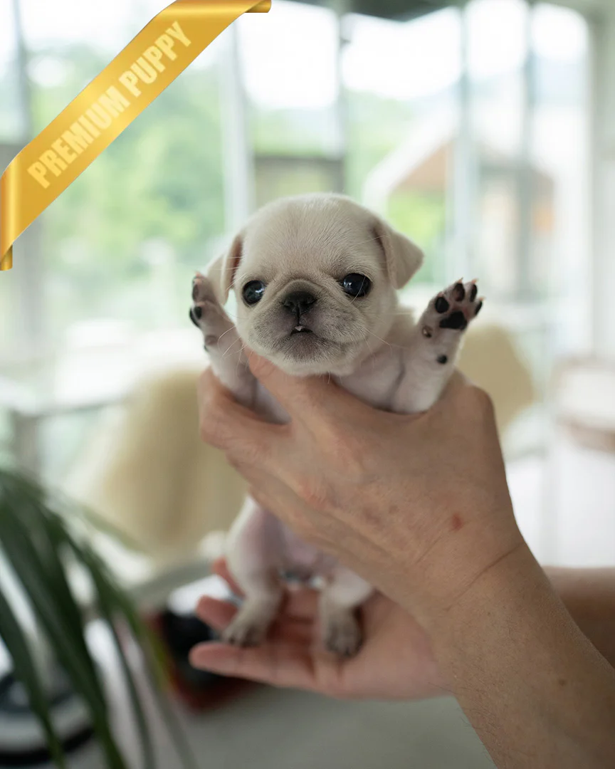 Wrinkles 