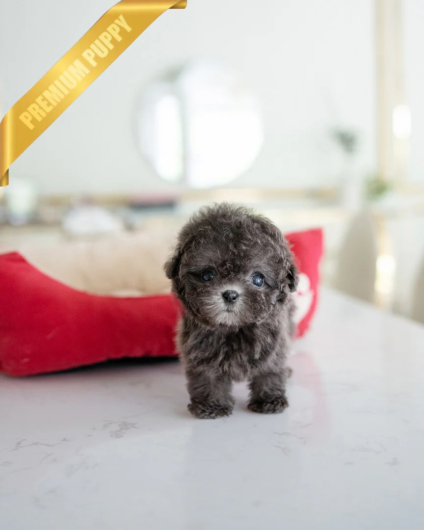 Nala