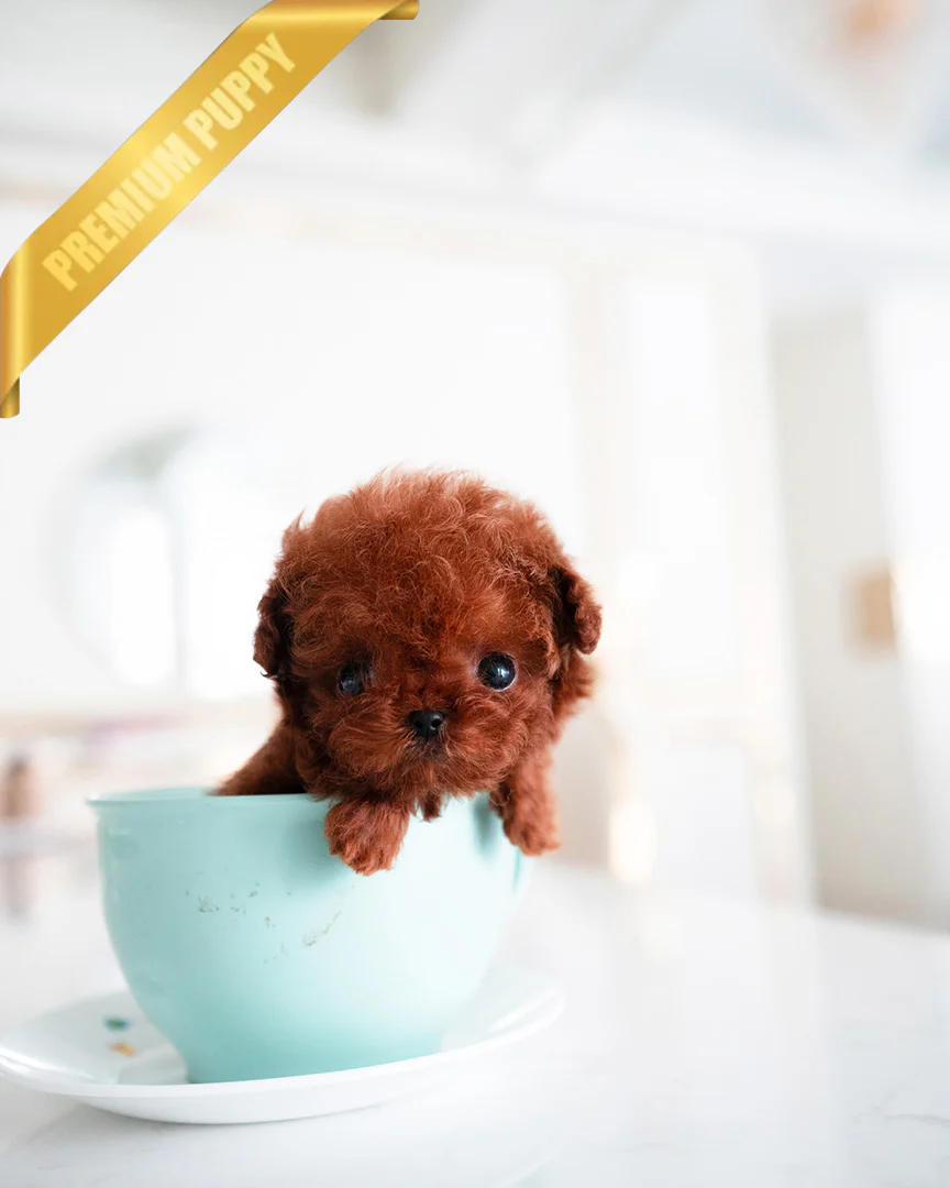 Milo
