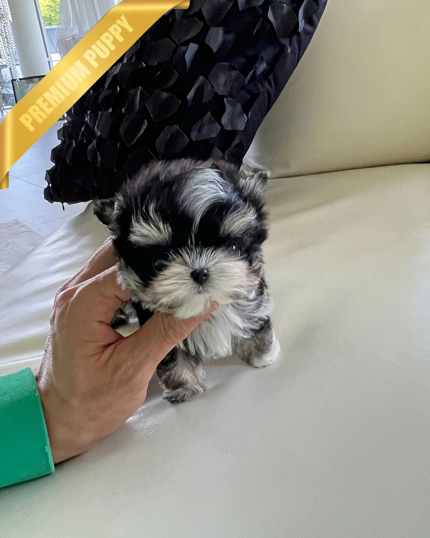 Marley