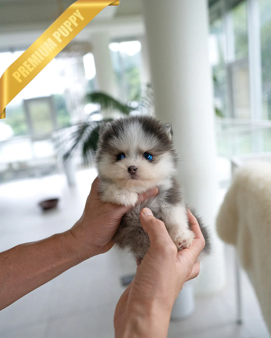 Milo 