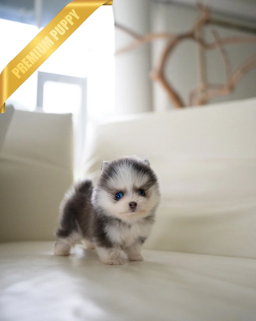 Milo 