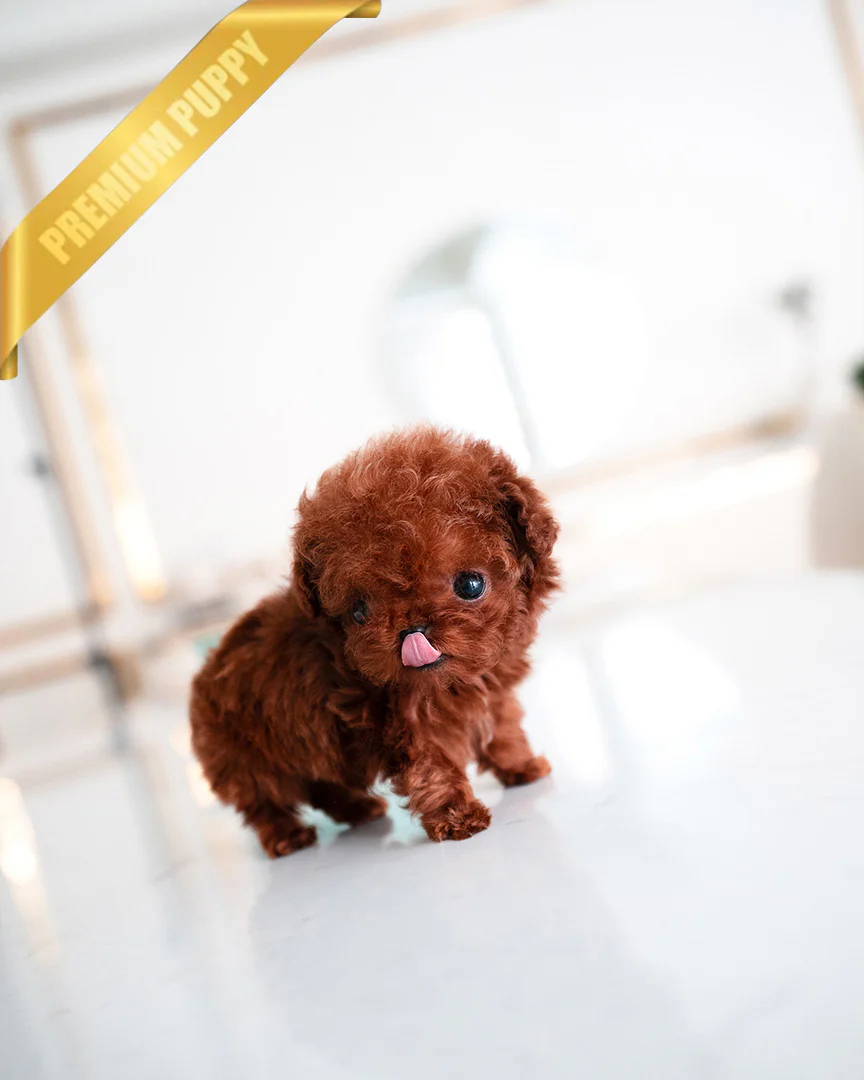 Milo