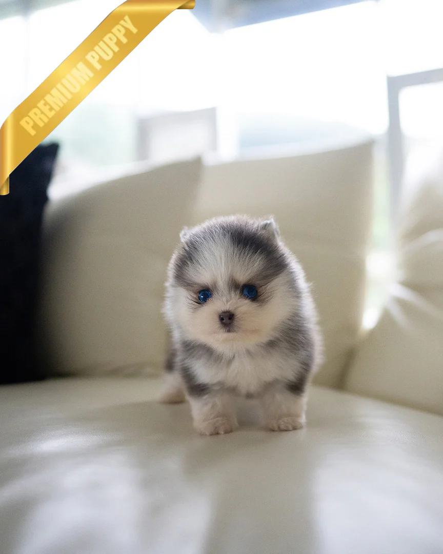 Milo