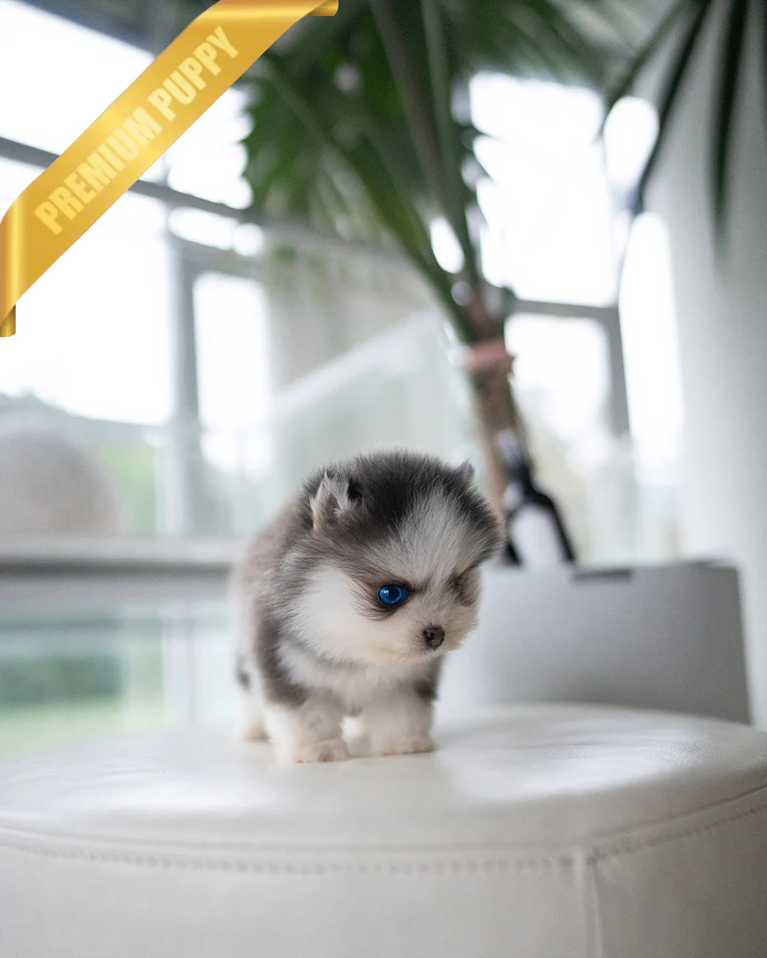Milo 