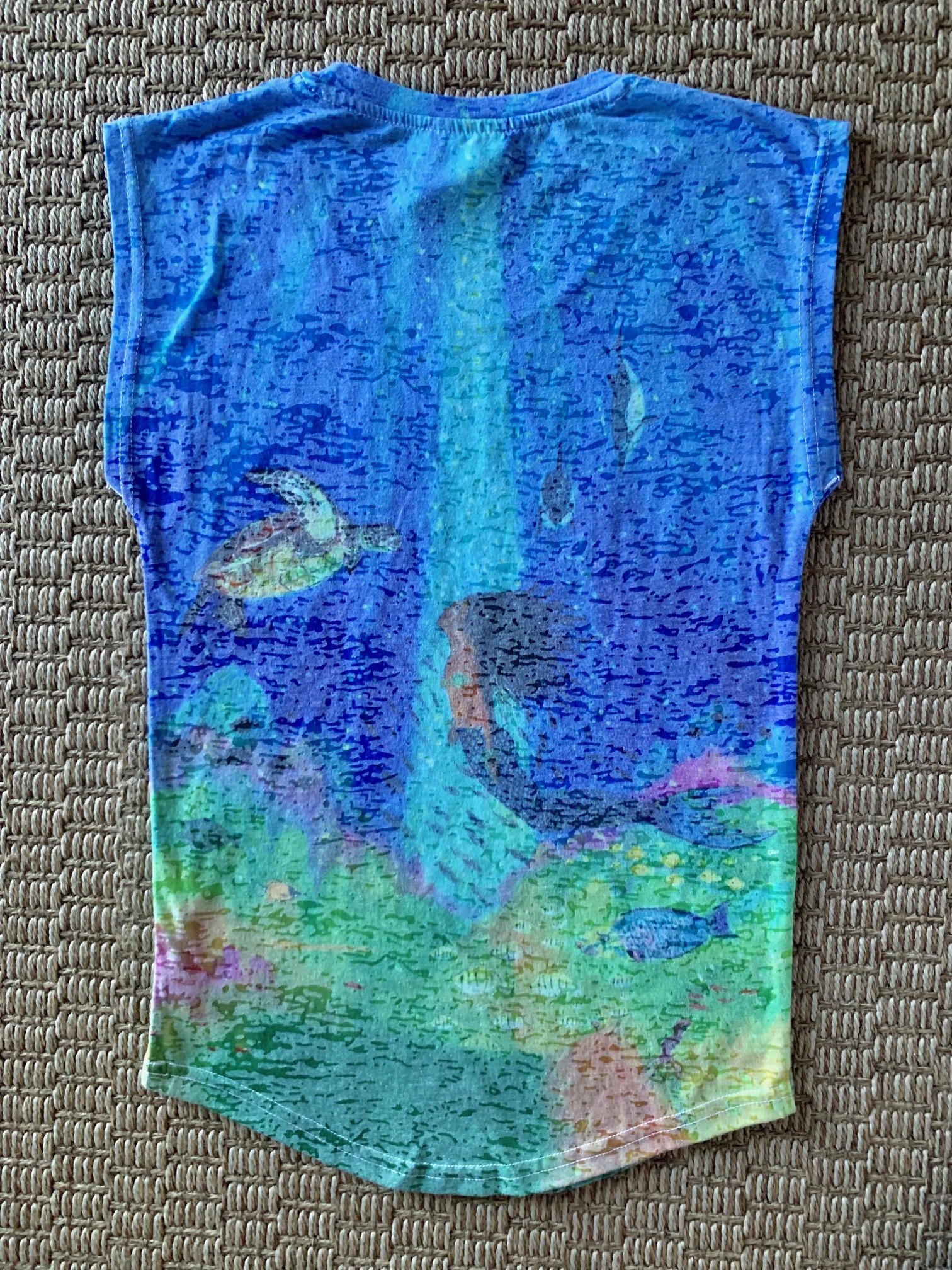 A mermaid talking with a turtle