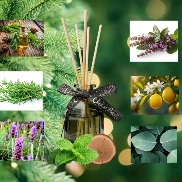 ก้านไม้หอม กลิ่น Winter Botany กลิ่นแท้จากธรรมชาติ หอมสดชื่น ผ่อนคลายจากพฤกษาศาสตร์กว่า 14 ชนิดขนาด 100 ml