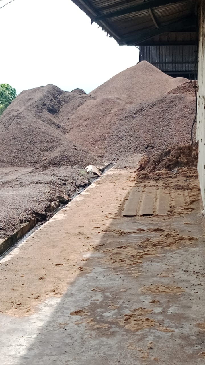 Palm Kernel Shell (PKS)
