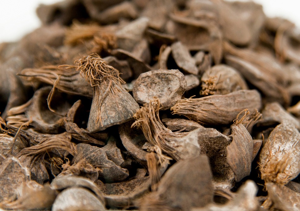 Palm Kernel Shell (PKS)