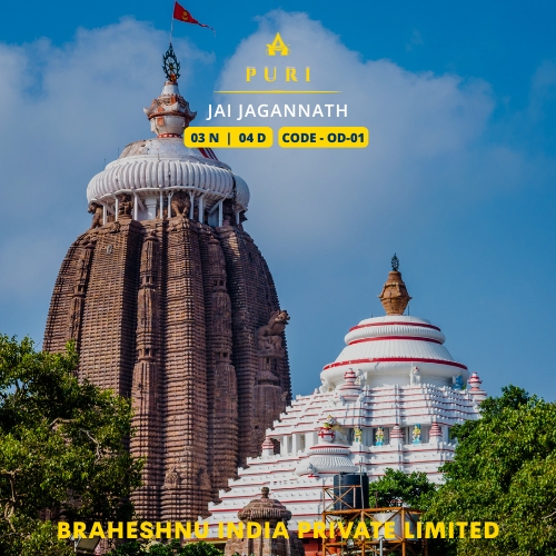 Puri - Jagannath Temple (Odisha)