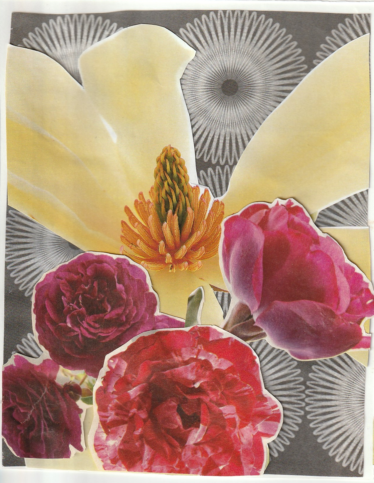 Grey Roses (2019)