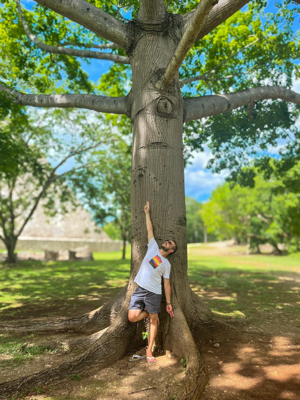 Leitura de Registros Akáshicos (1h)