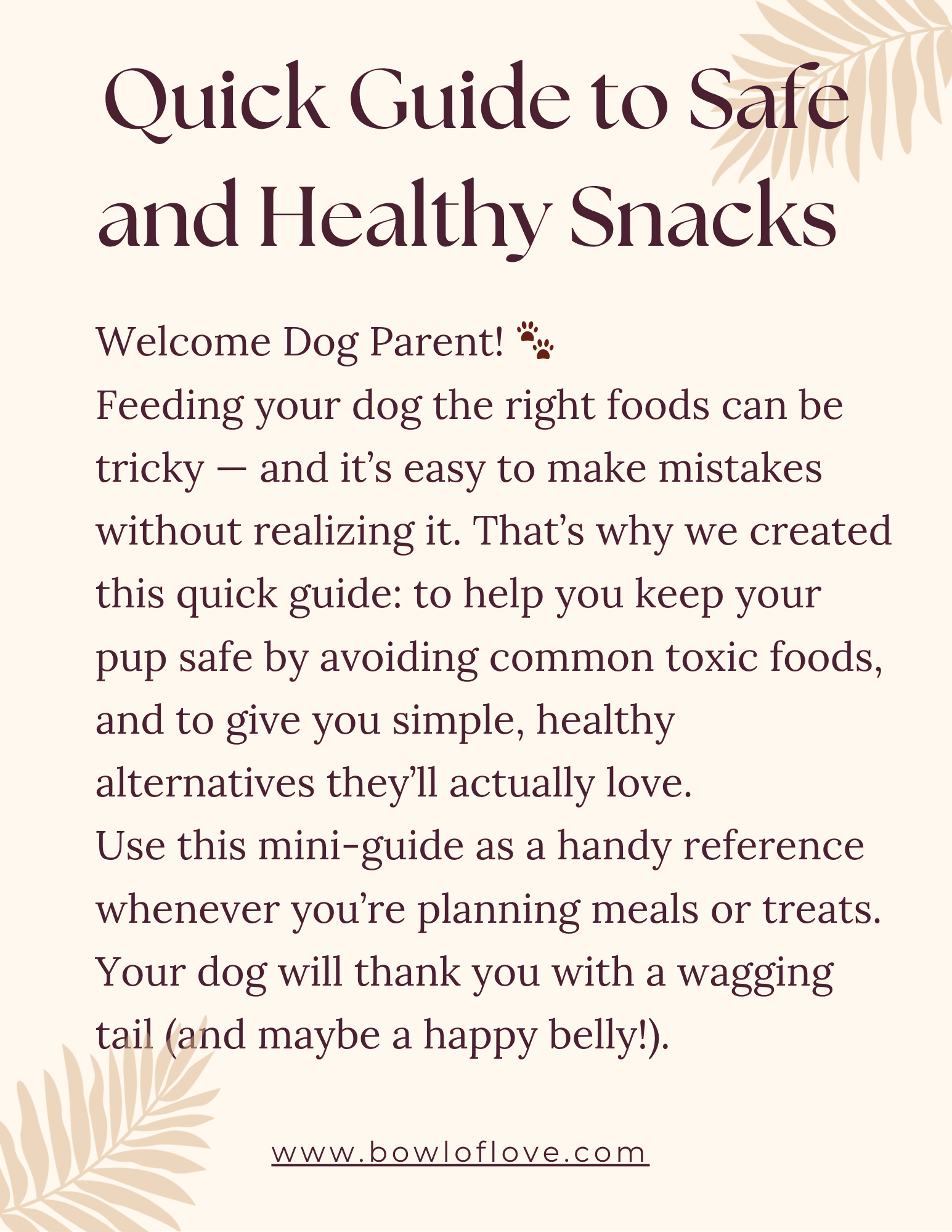 Quick Guide to Safe and Healthy Snacks
