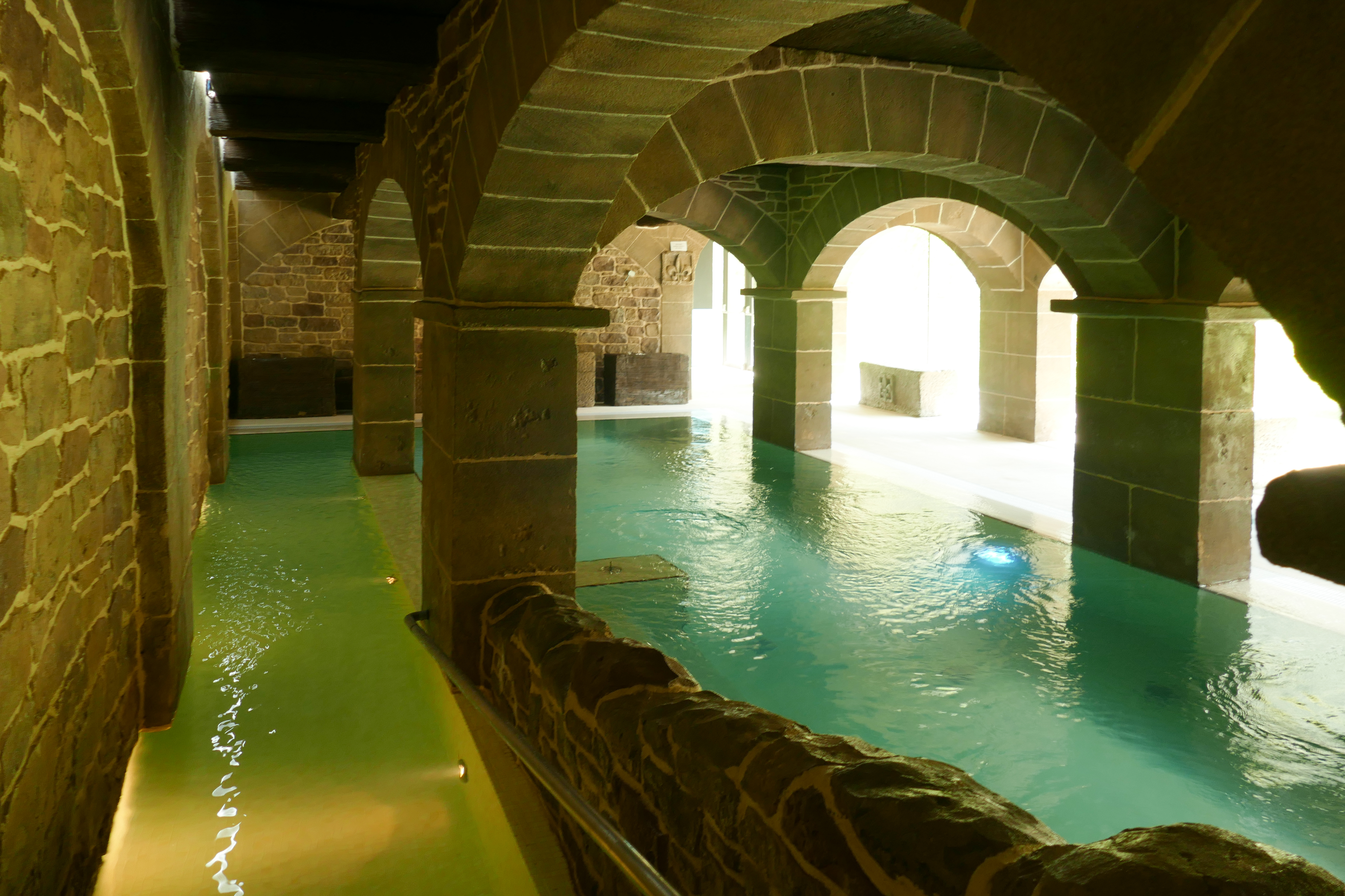 🌿 Retiro de Yoga en Balneario Elgorriaga, 10-12 de abril de 2026.