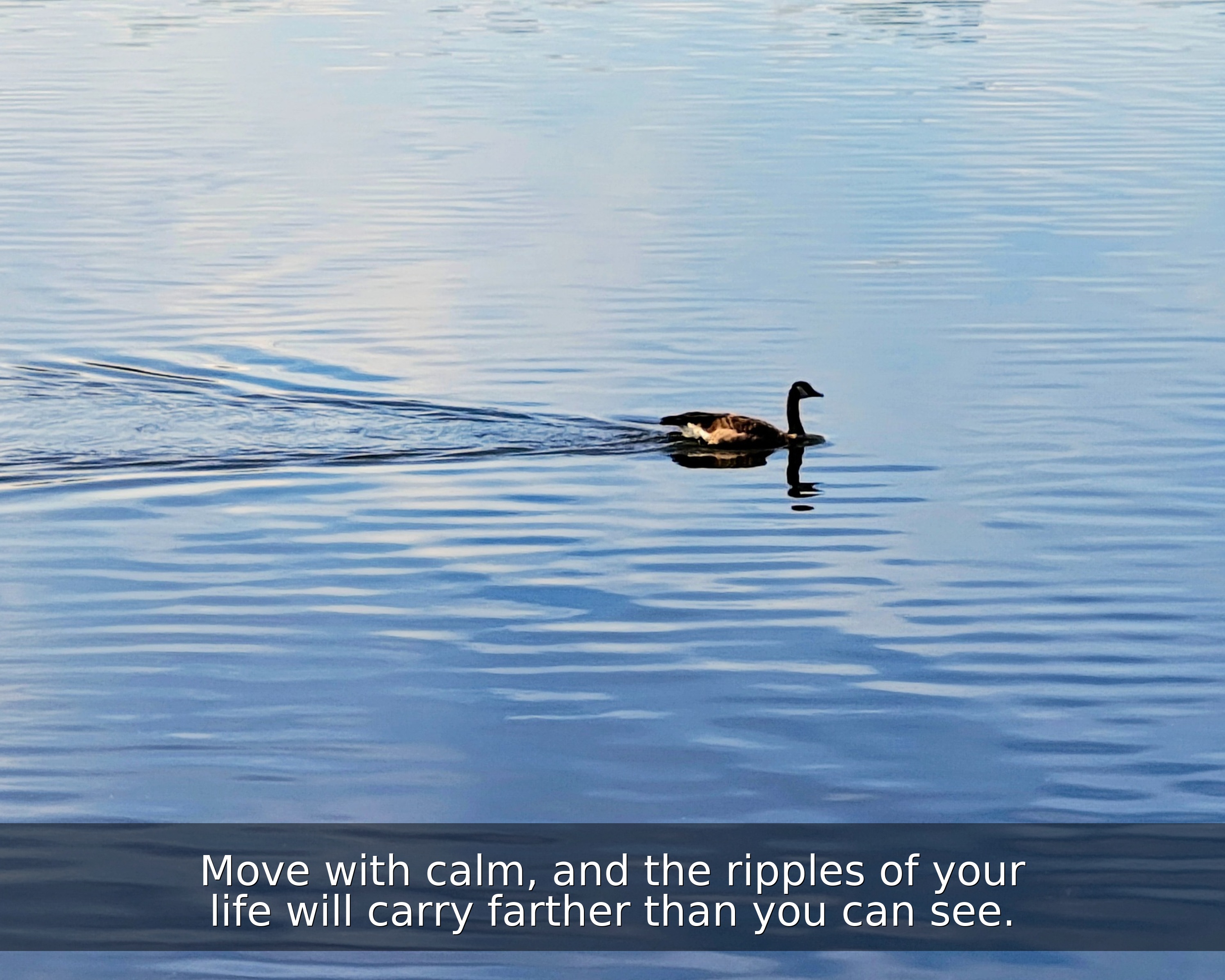 Serene Goose on Water – Zen Wall Art with Inspirational Quote | Tranquil Lake Photography Print | Digital Download